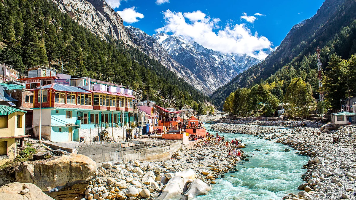 flora of Gangotri