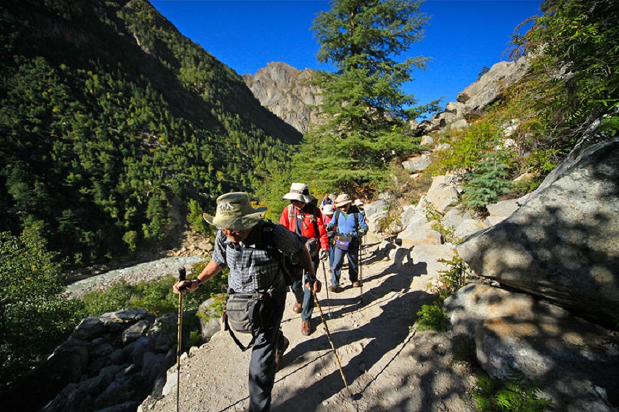Trail between Chirbasa and Bhojwasa