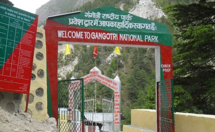Forest Checkpost Gangotri National Park