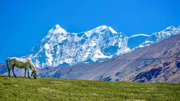 Bedni bugyal guarded by the Trishul peak