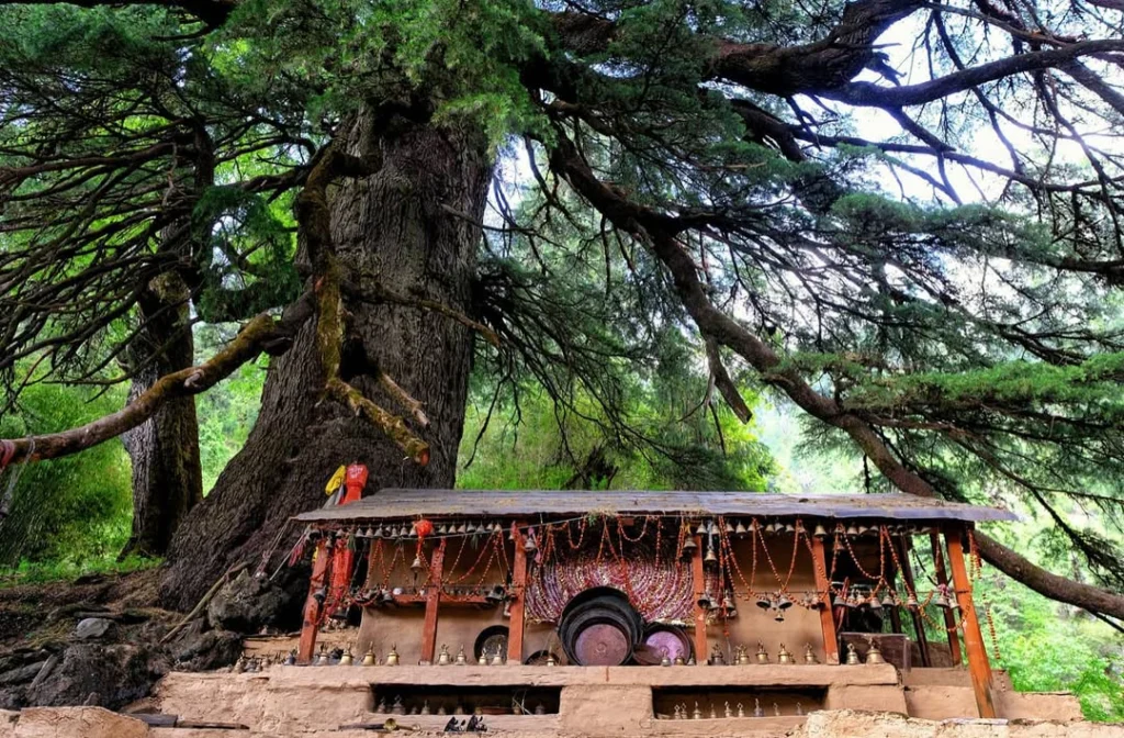 Latu Devta temple at Wan village
