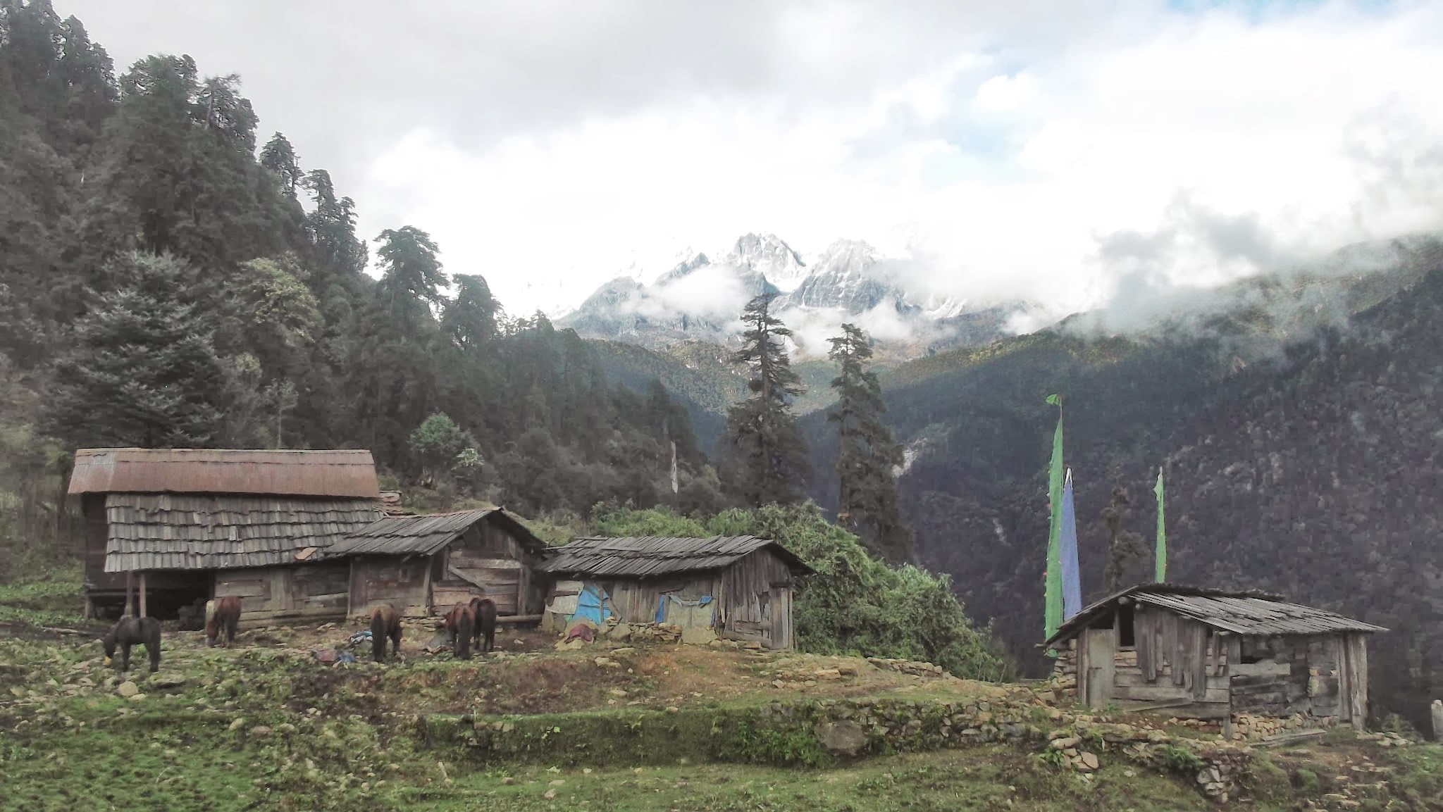 Tshoka campsite on the Goechala Trek surrounded by prayer flags and Himalayan mountains