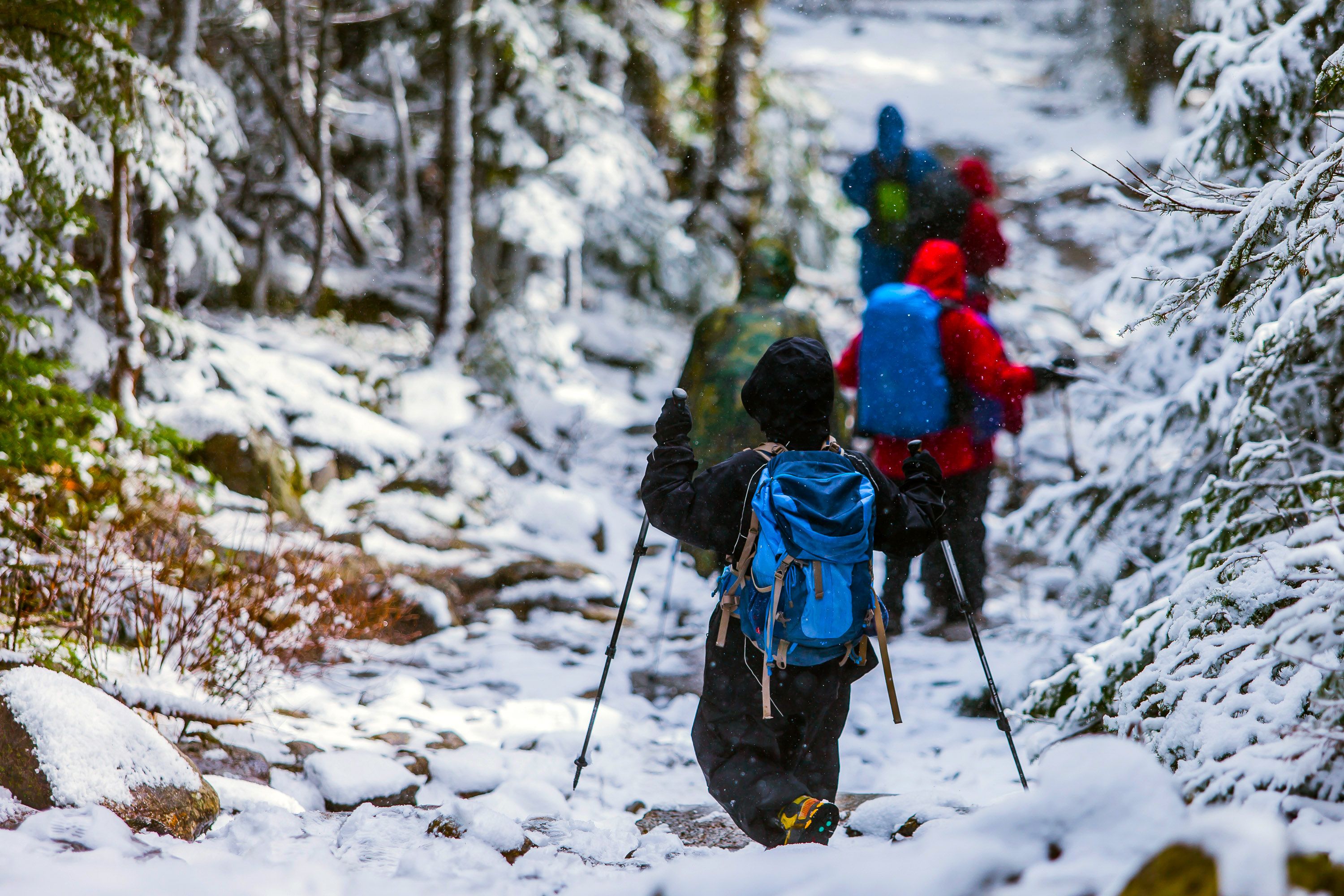 Why Children Should Trek in the Himalayas: Learning Beyond the Classroom