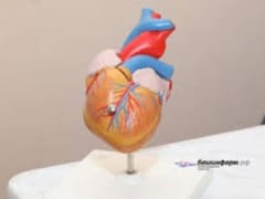 Главный кардиолог Башкирии рассказала, кто в группе риска по тромбообразованию