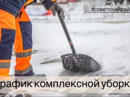 Комплексная уборка дворов на 12 января