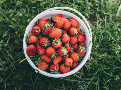 30 капель и 3 г под корень в марте — и клубника завалит урожаем: Ягоды слаще сахарного сиропа