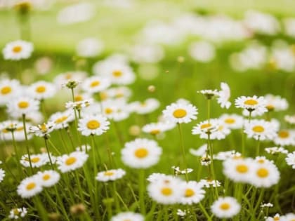 Башкирию ожидает жаркий вторник и среда