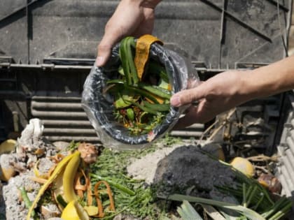 3 лопаты бесплатного порошка в феврале — и «дубовый» компост созрел: даже кости и ветки перегнили