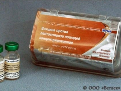 В Башкирии изъяли из оборота вакцину для лошадей