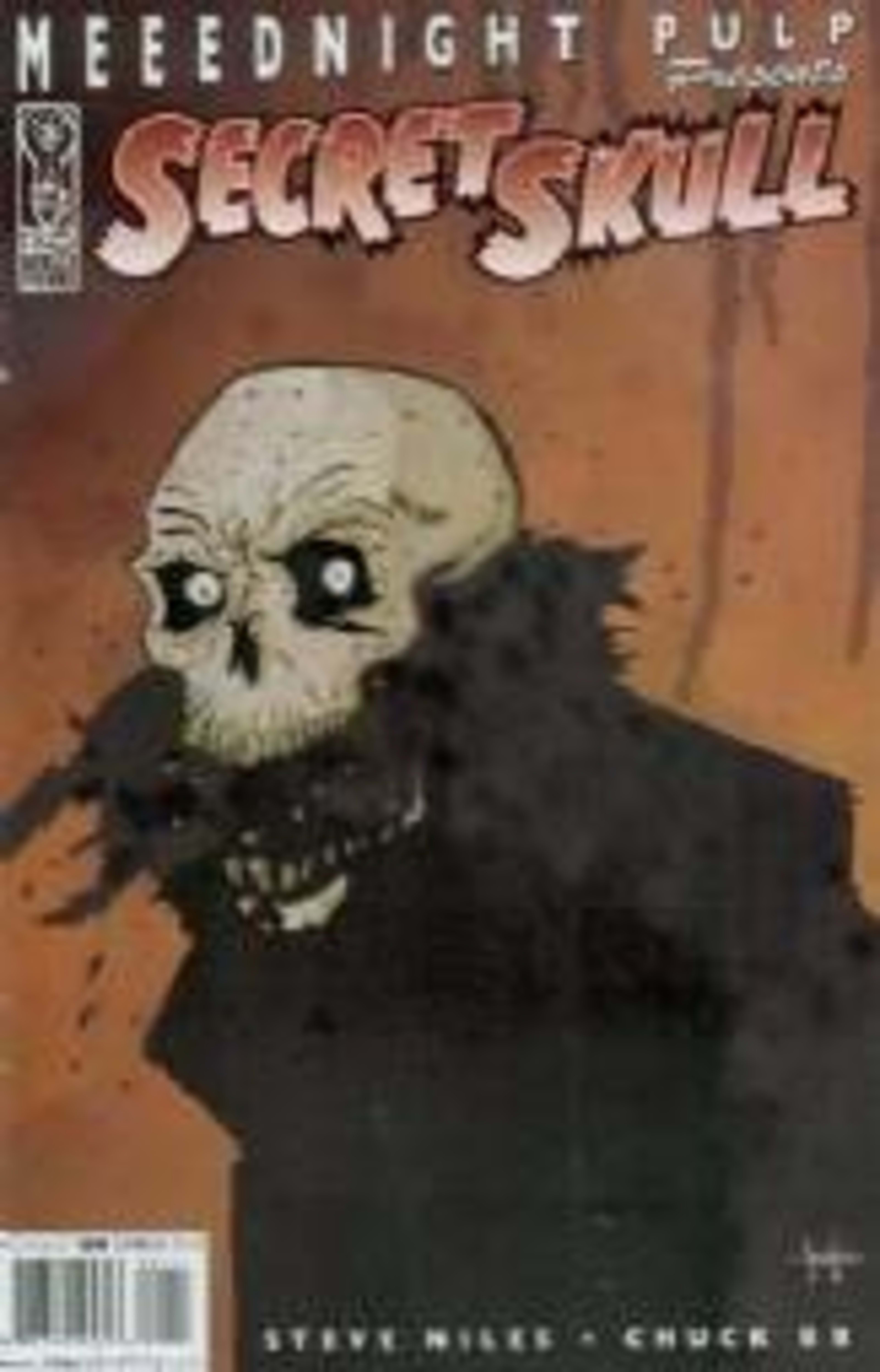 Secret Skull cover — © IDW Publishing
