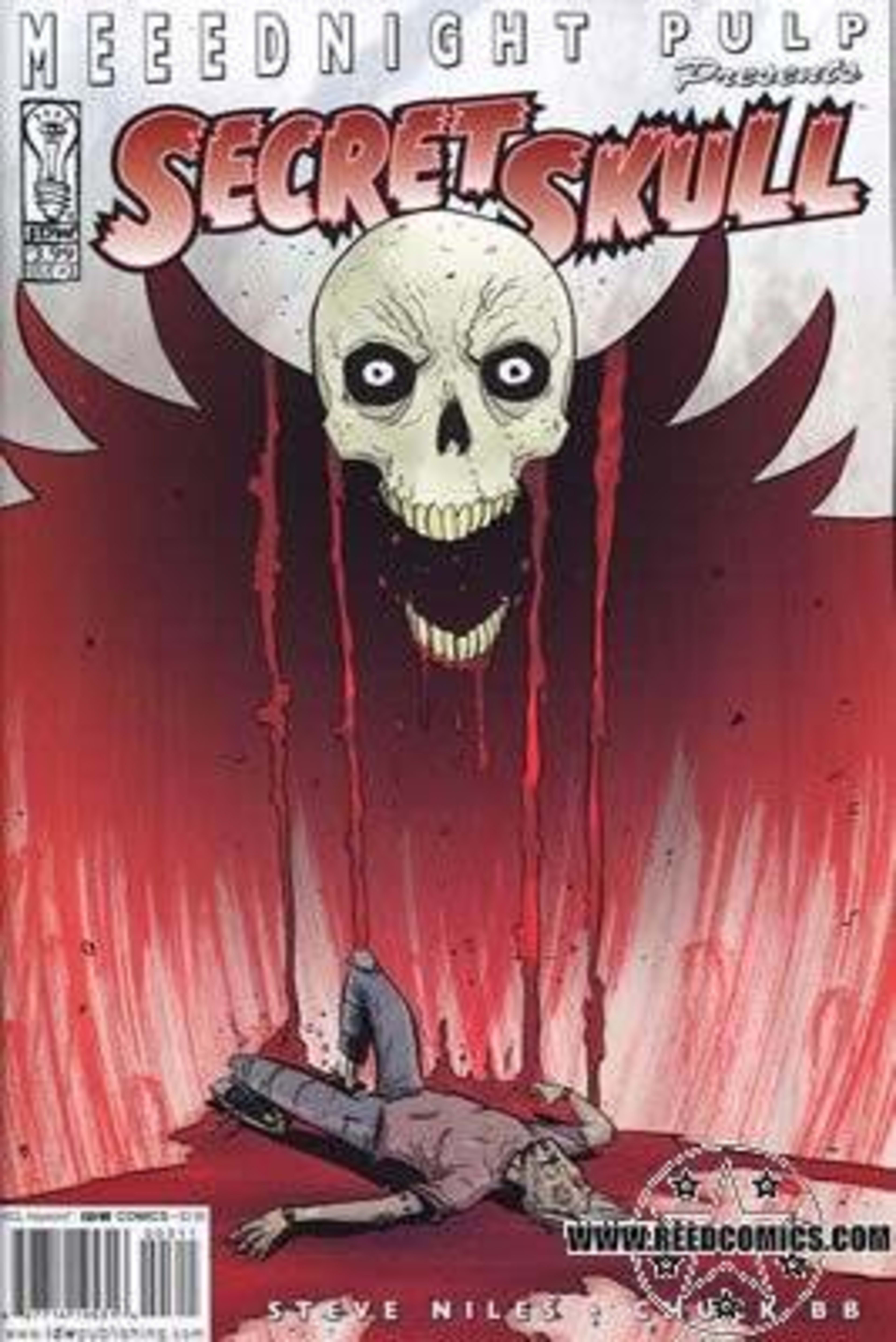 Secret Skull 3