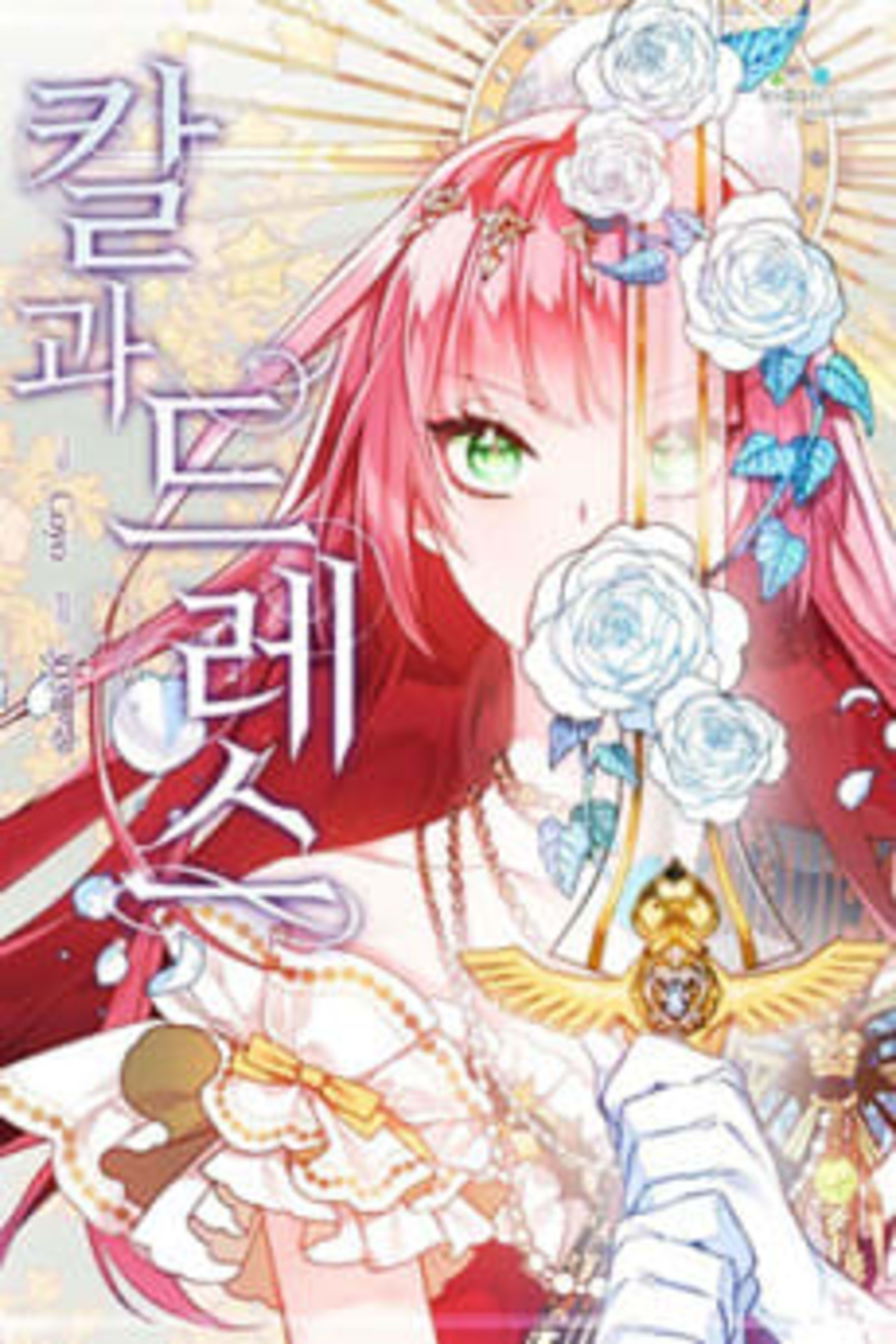 Kalgwa Deuleseu cover — © Yen Press