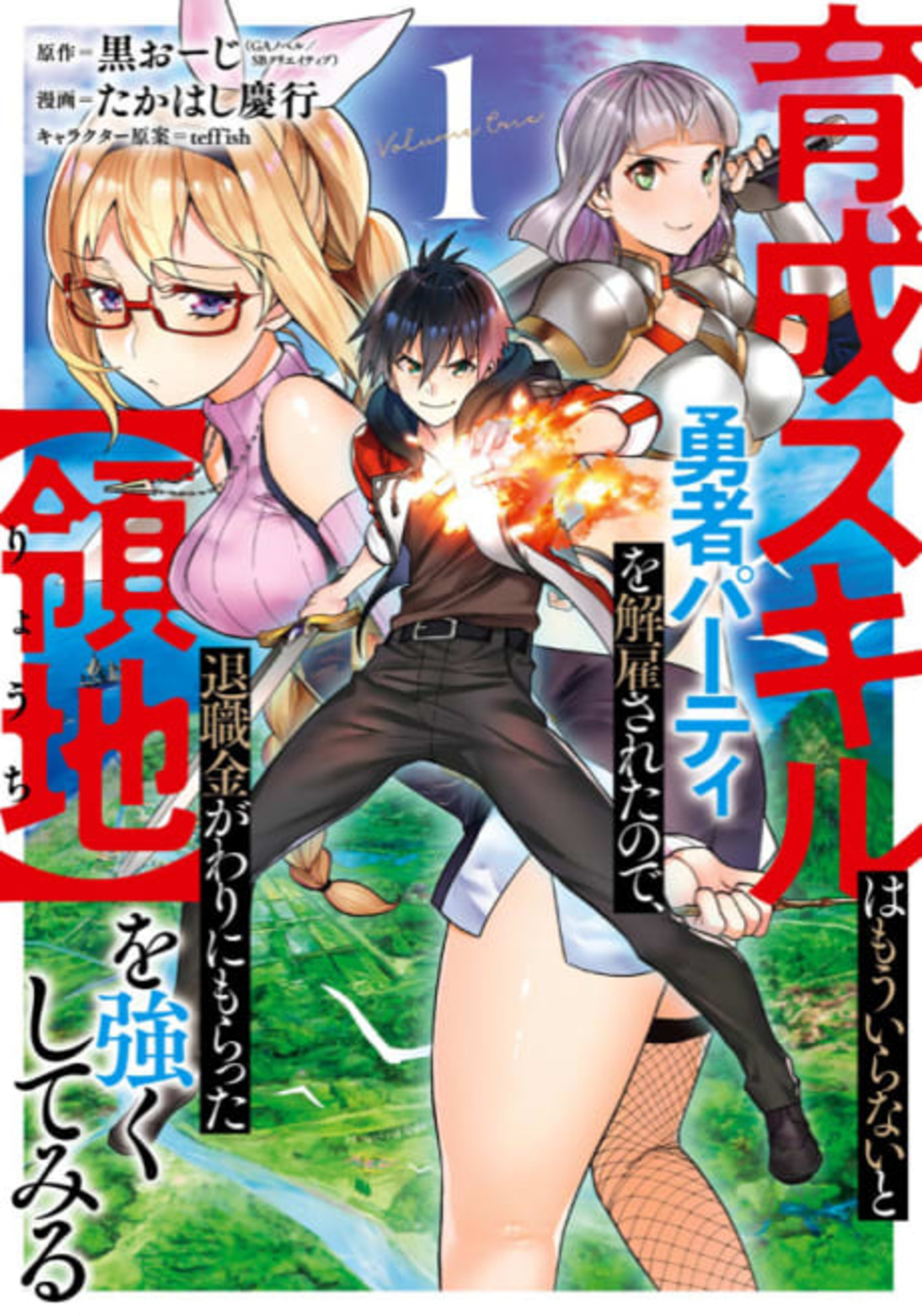 From Leveling Up the Hero to Leveling Up a Nation cover — © Viz Media