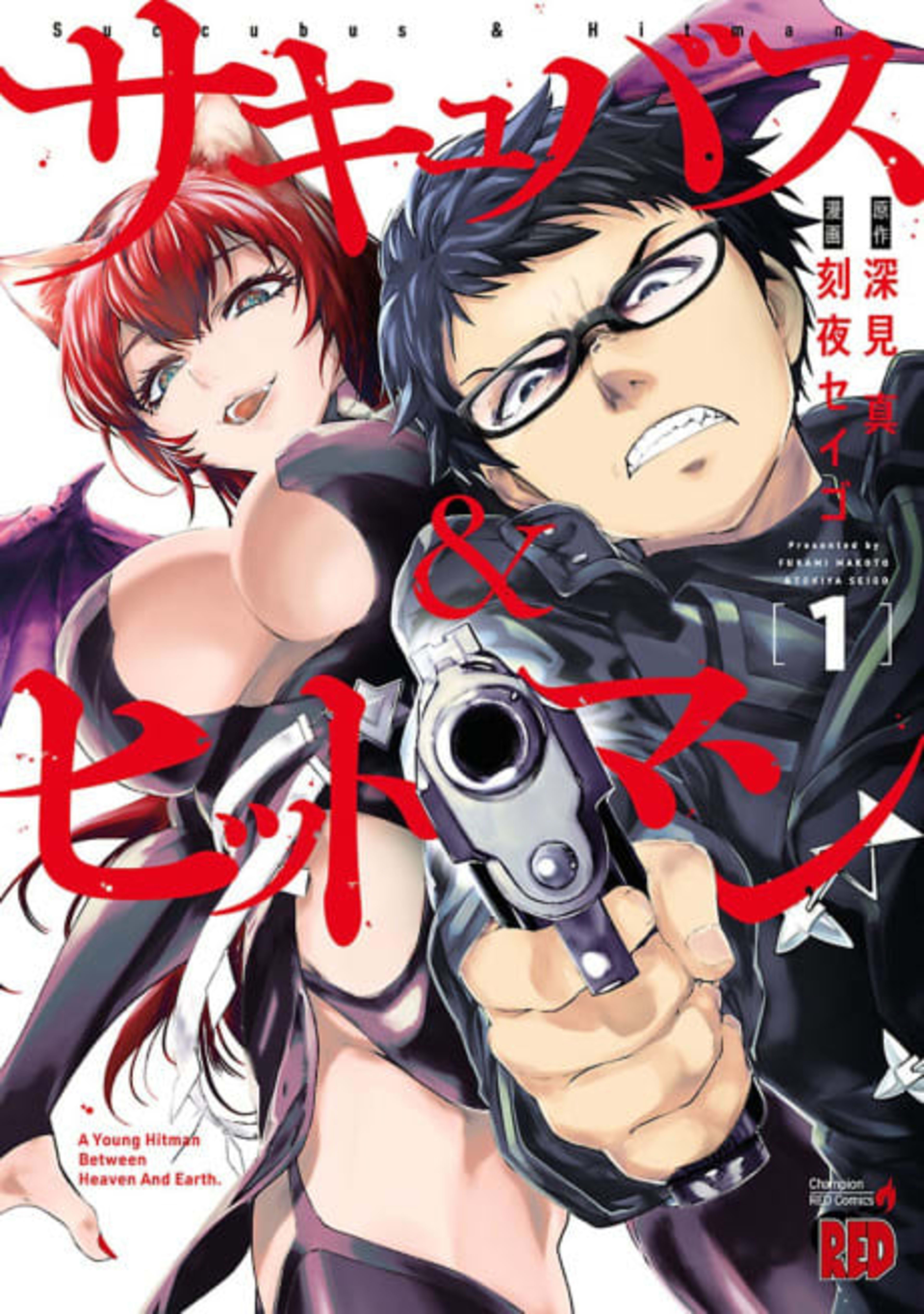 Succubus and Hitman cover — © Viz Media