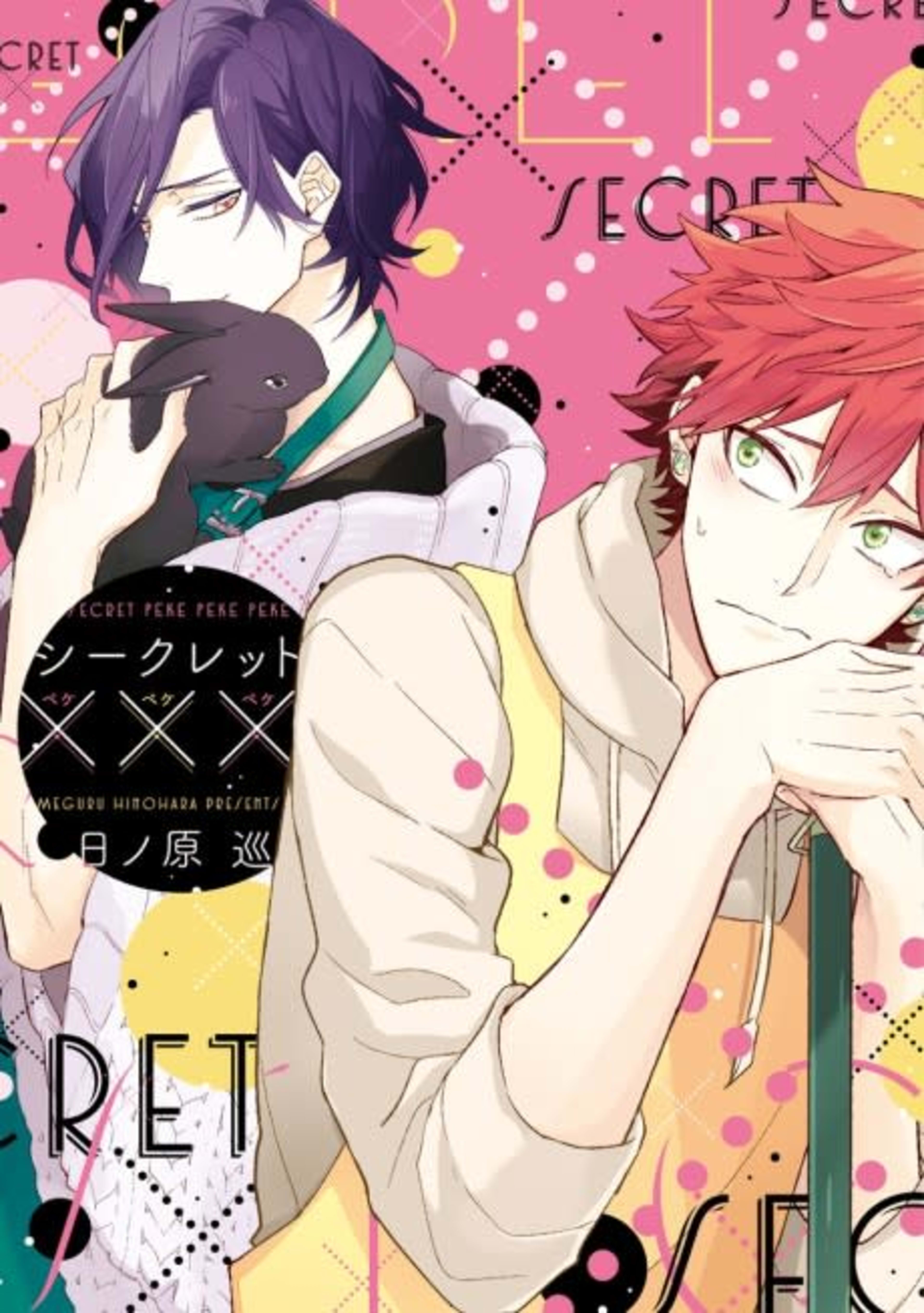 Secret XXX cover — © Viz Media
