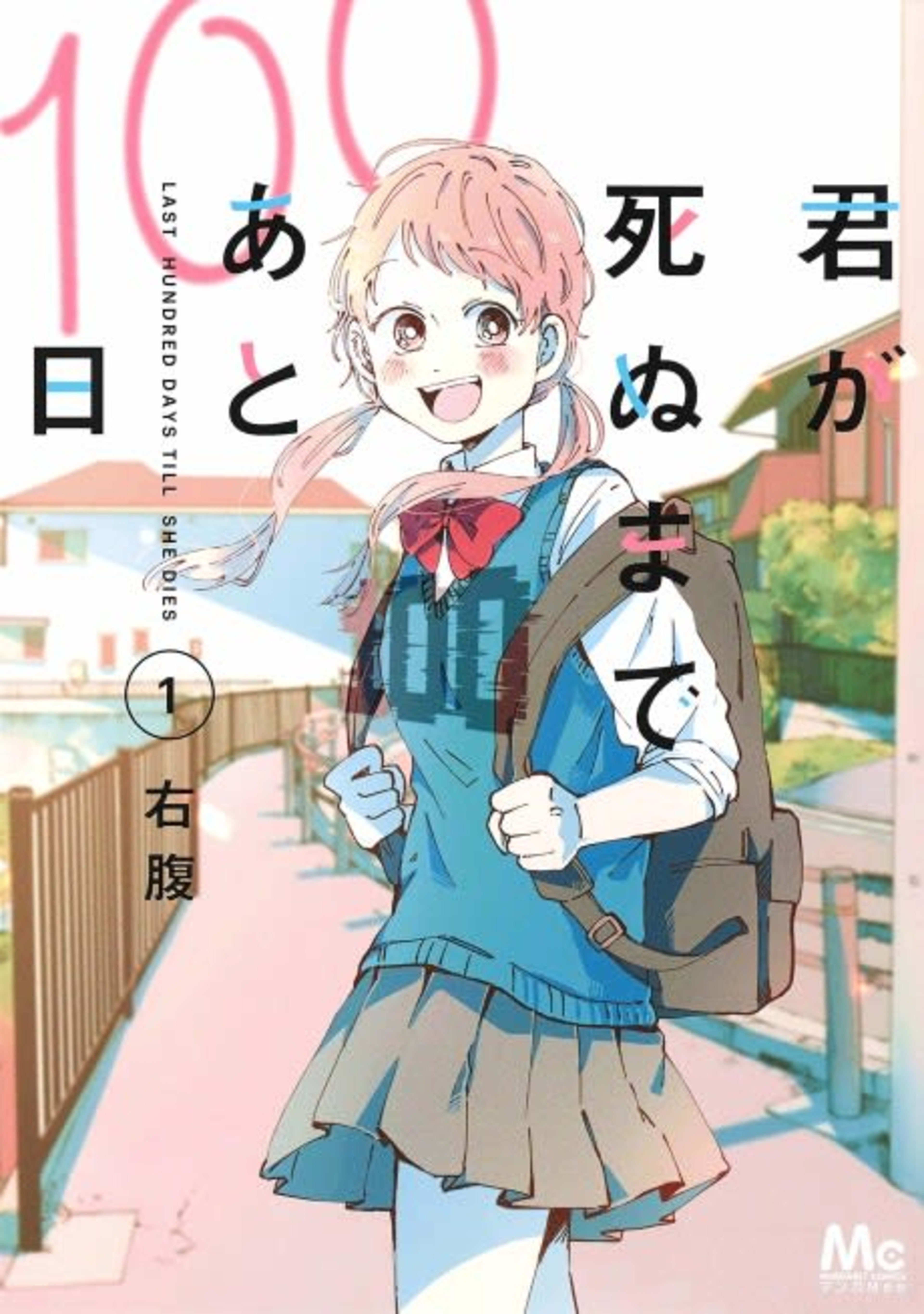Kimi ga Shinu made Ato 100-nichi cover — © Viz Media