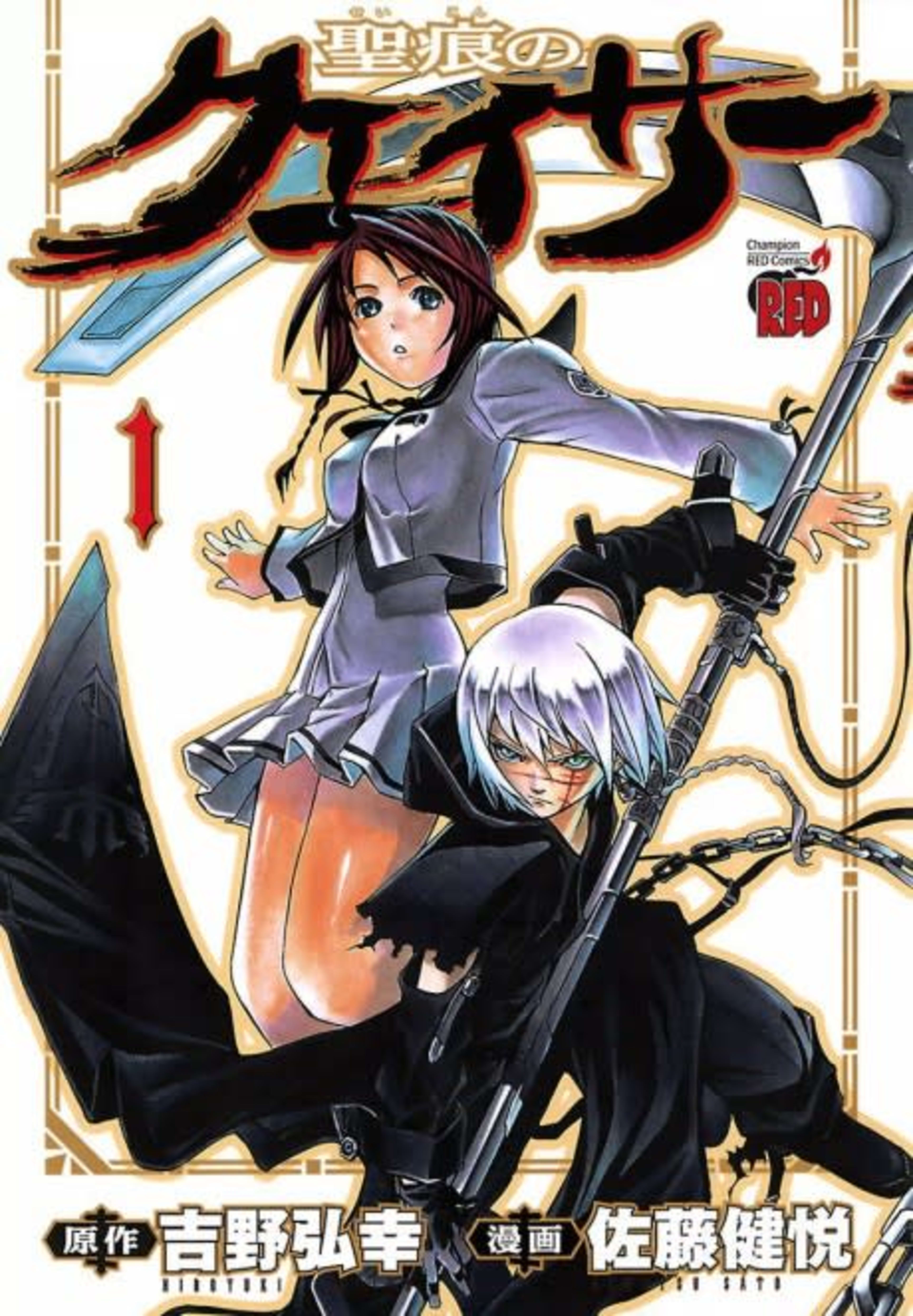 The Qwaser of Stigmata cover — © Viz Media