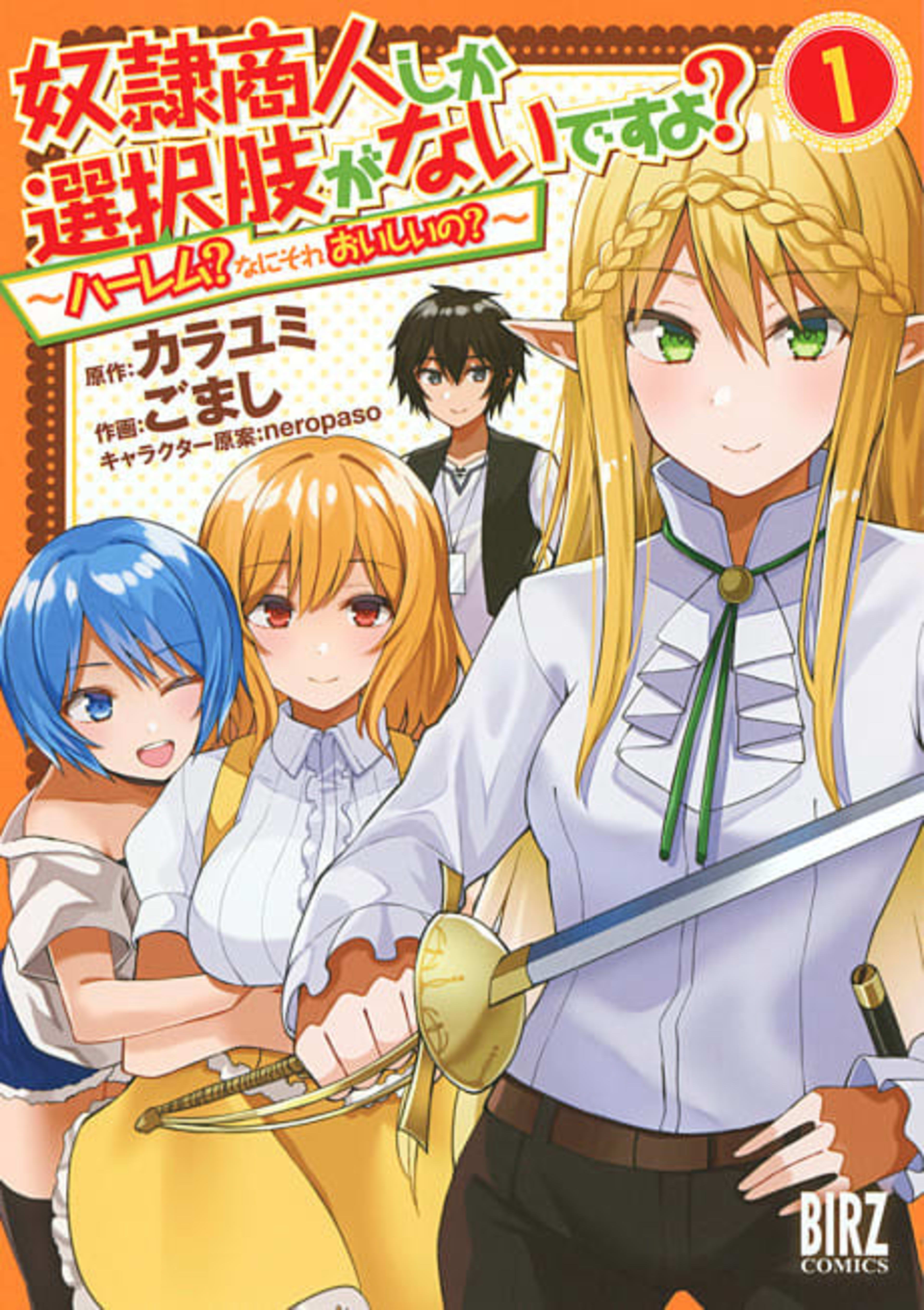 Dorei Shounin shika Sentakushi ga nai desu yo?: Harem? Nani sore oishii no? cover — © Viz Media