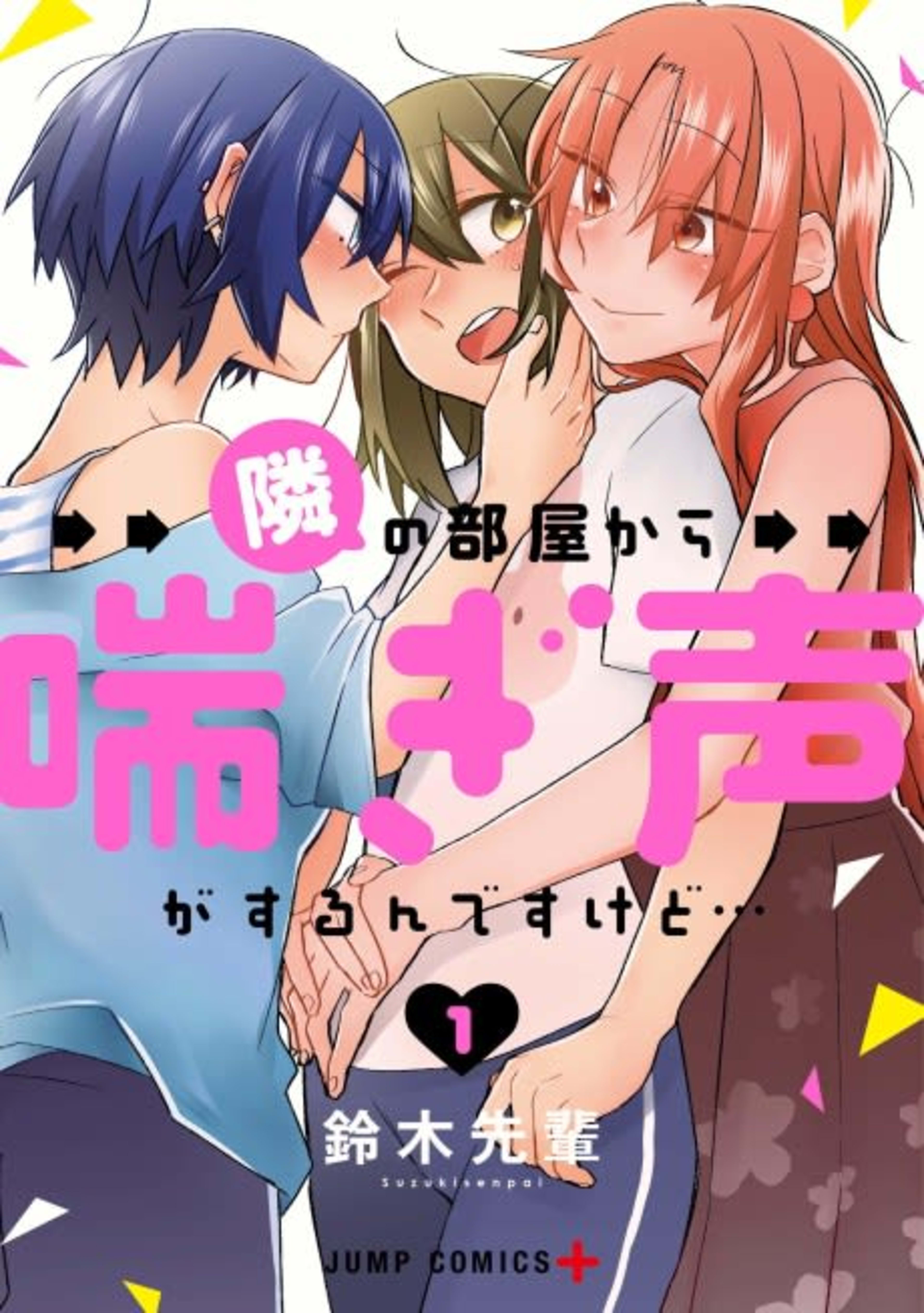 Tonari no Heya kara Aegigoe ga Surun desu kedo cover — © Viz Media