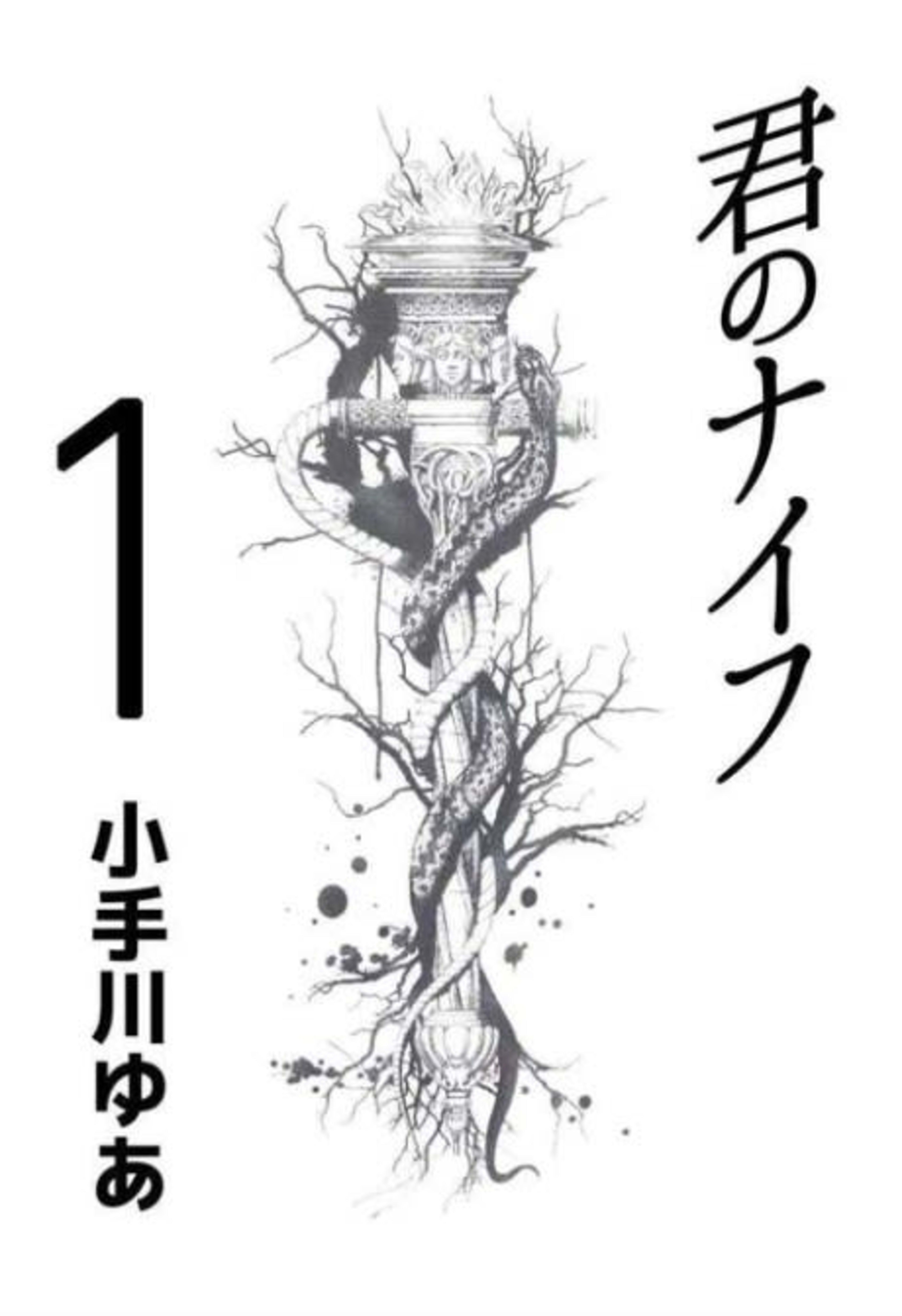 Kimi no Knife cover — © Viz Media
