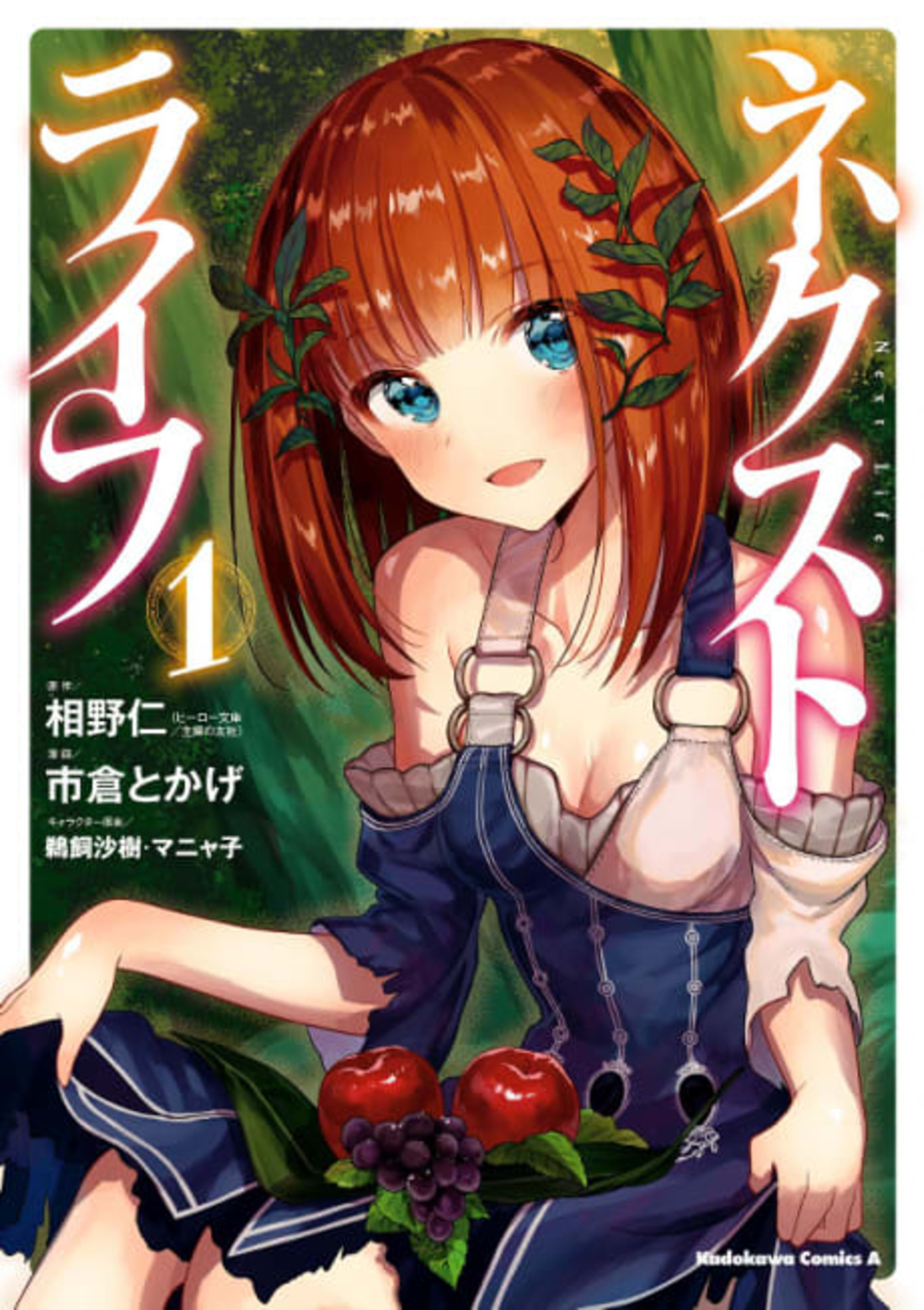 Next Life cover — © Viz Media