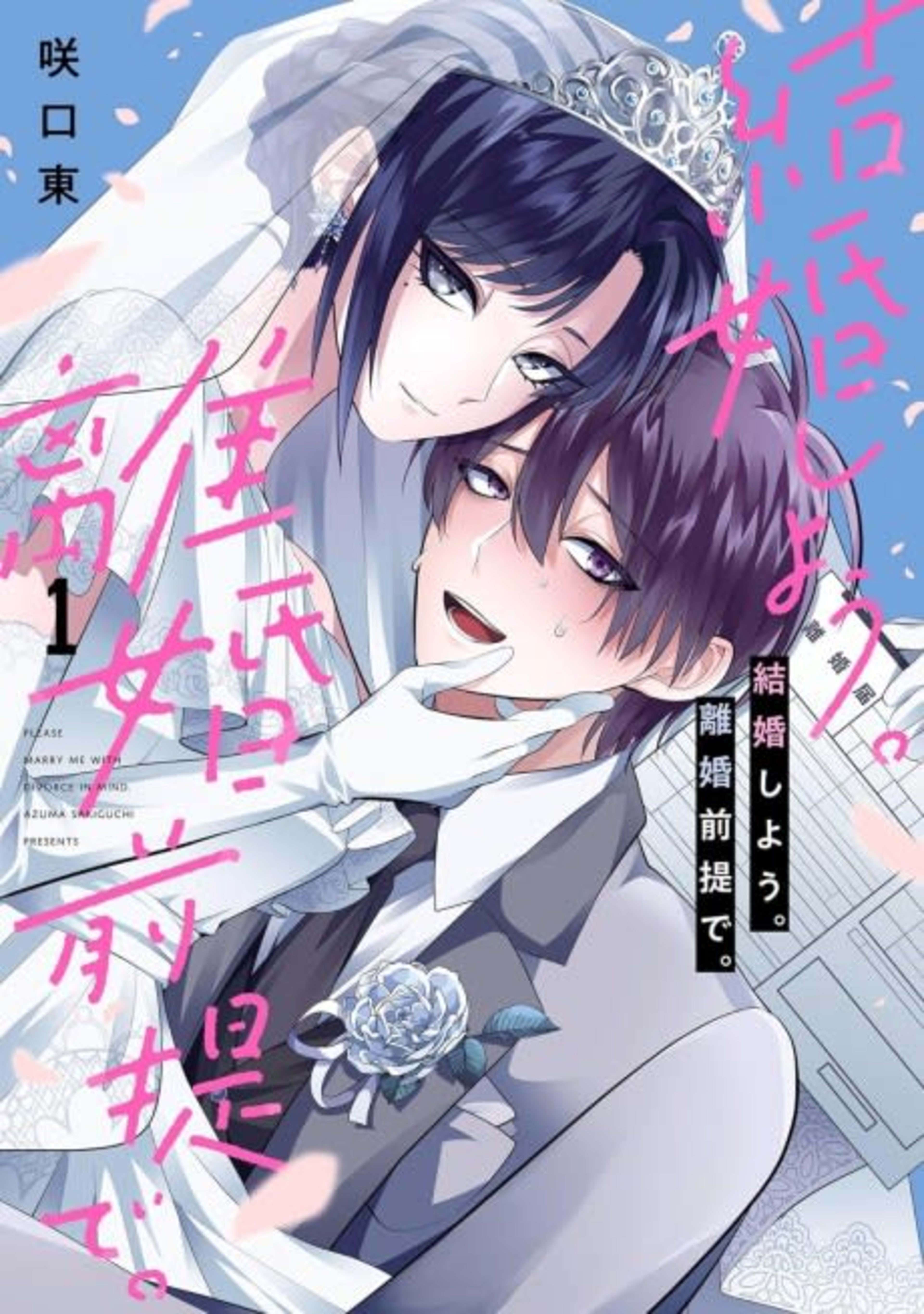 Kekkon Shiyou. Rikon Zentei de. cover — © Viz Media