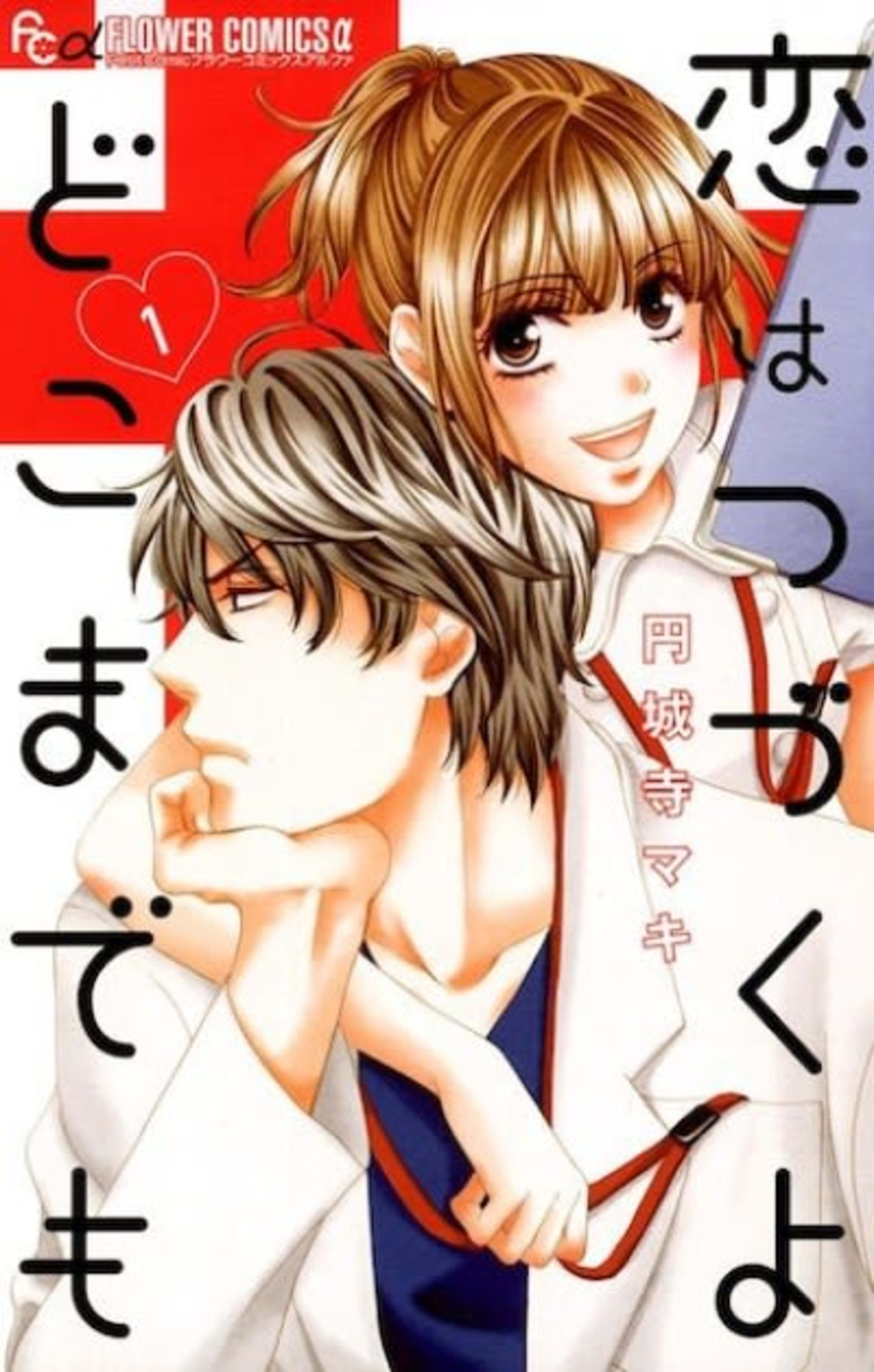 An Incurable Case of Love cover — © Viz Media
