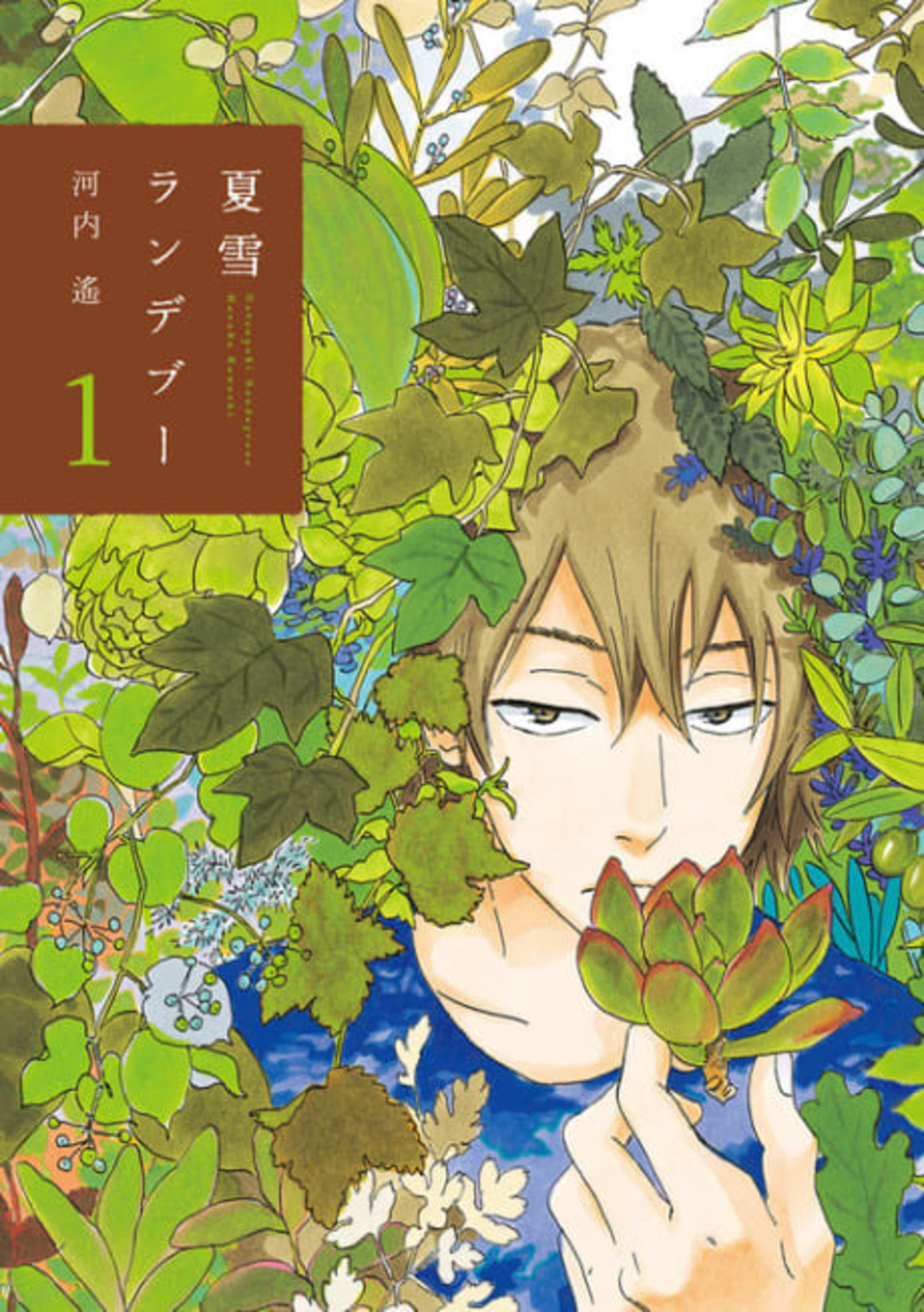 Natsuyuki Rendezvous cover — © Viz Media