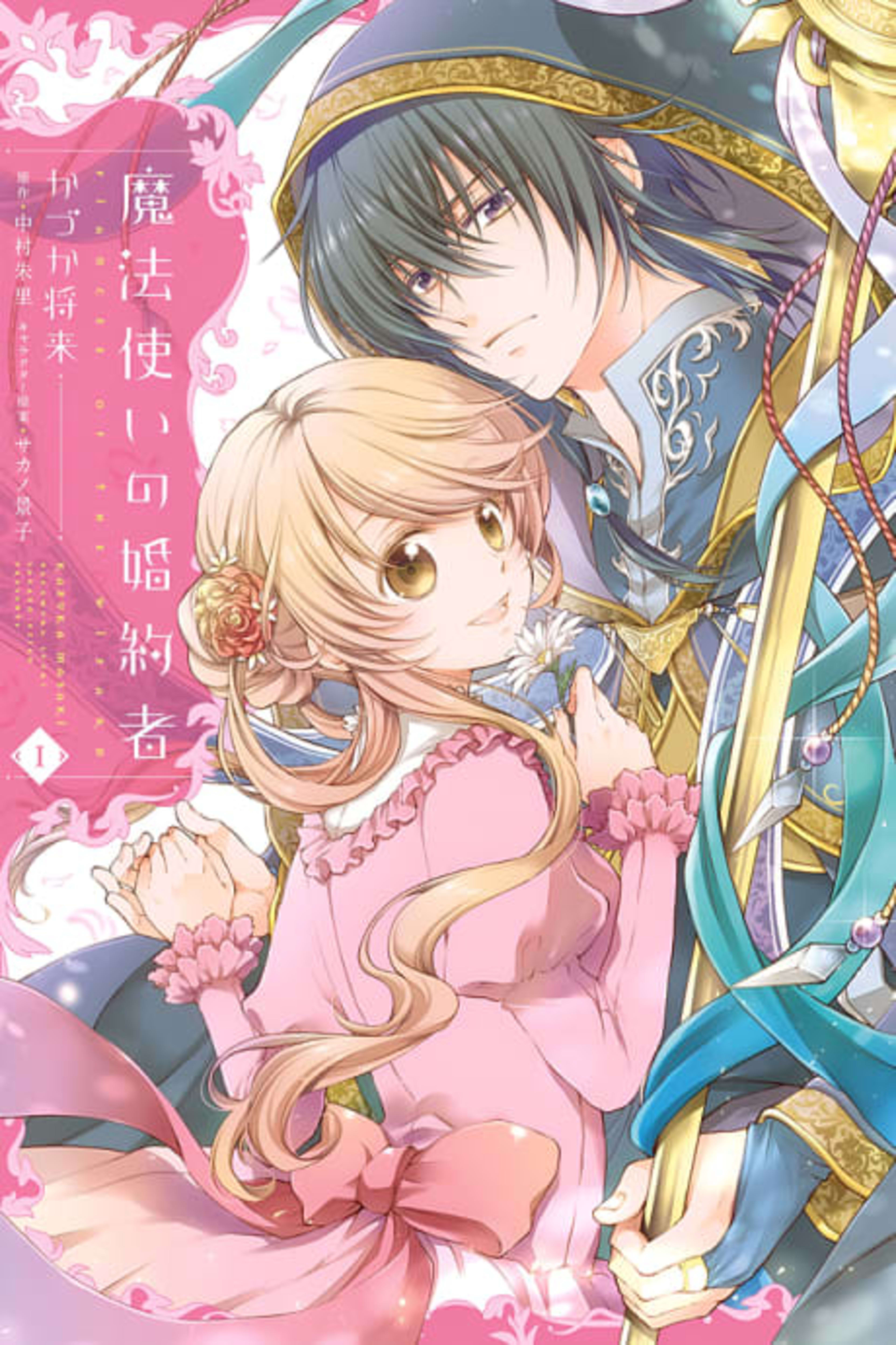 Fiancée of the Wizard cover — © Yen Press