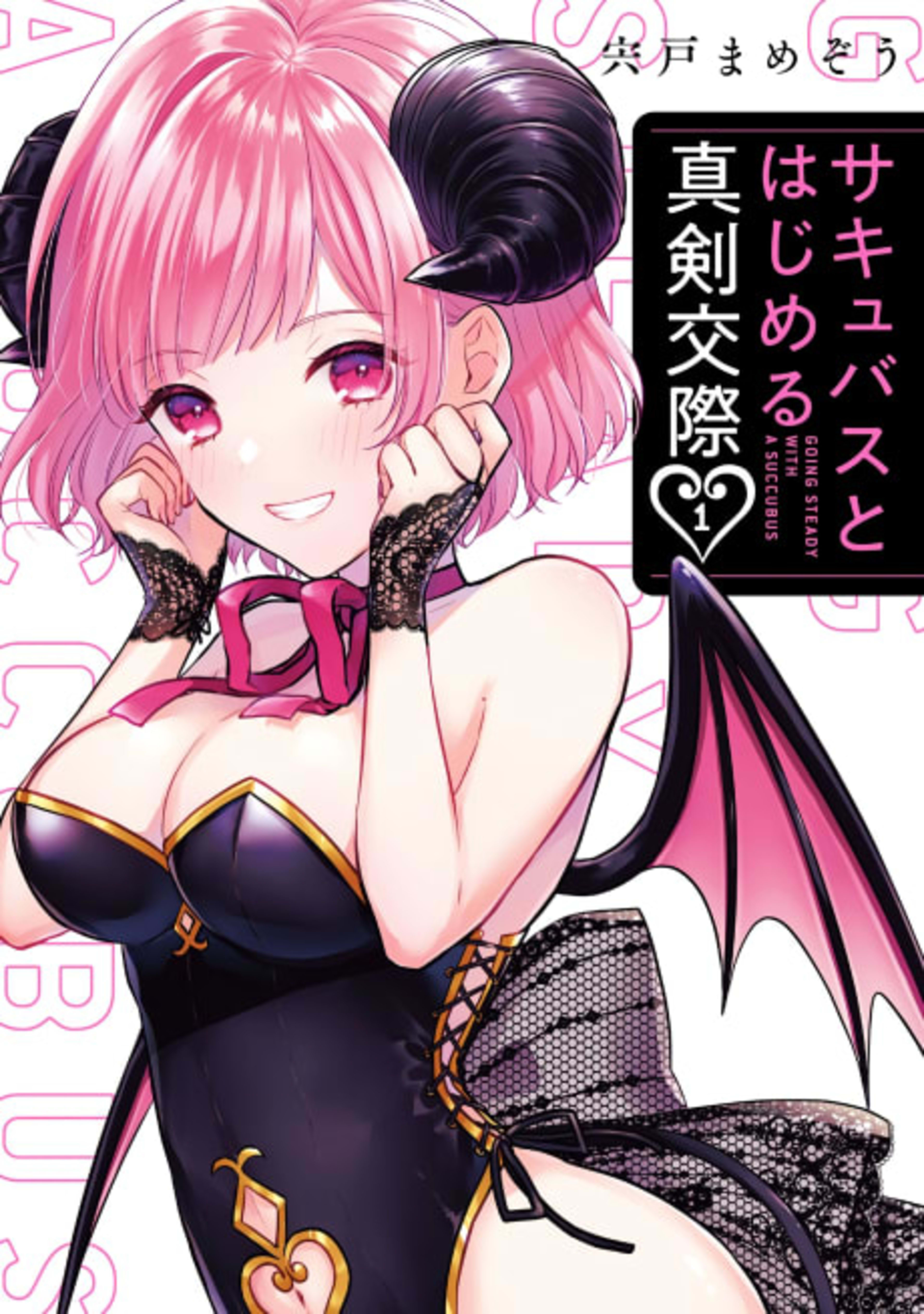 Succubus to Hajimeru Shinken Kousai cover — © Viz Media