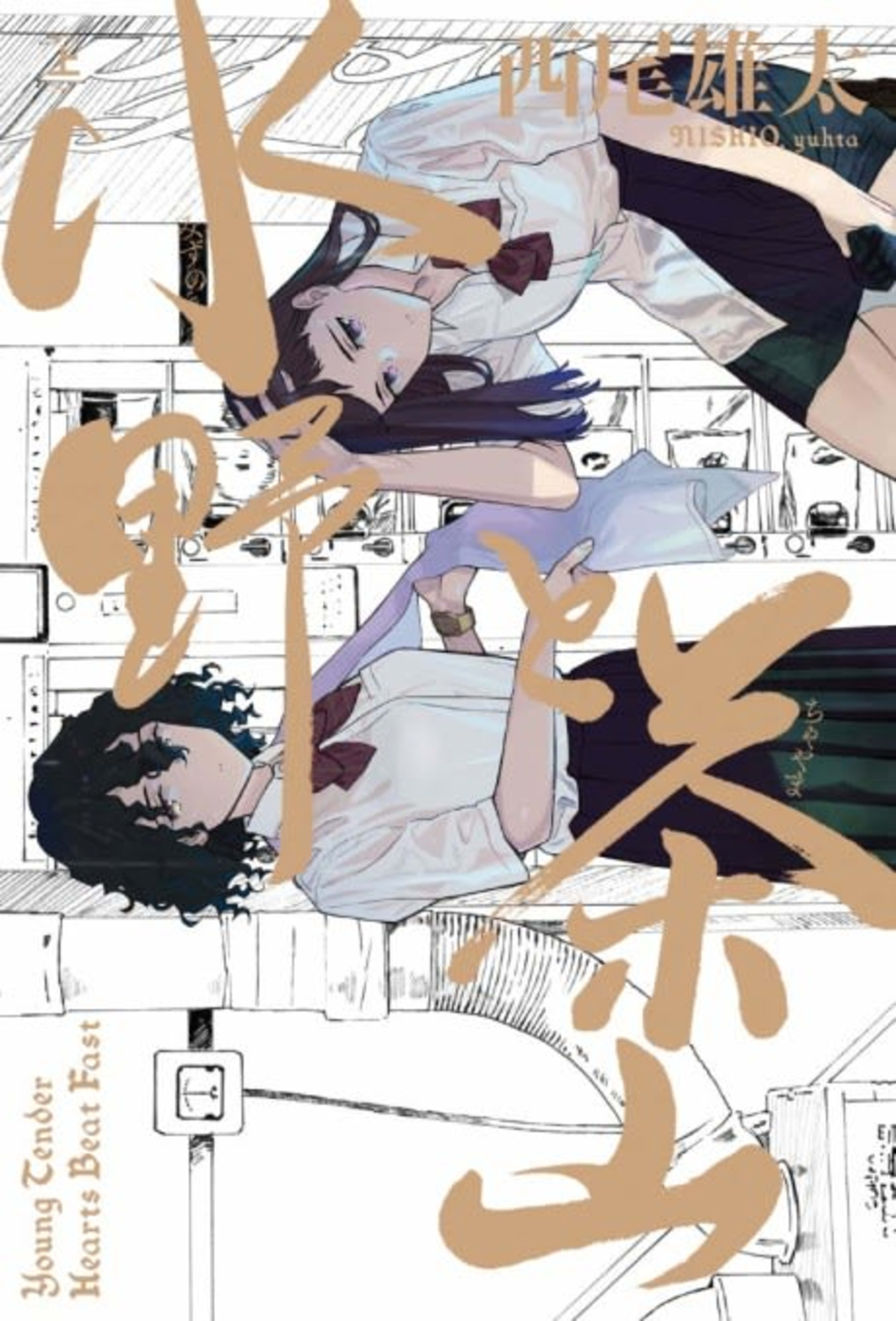 Mizuno & Chayama cover — © Yen Press