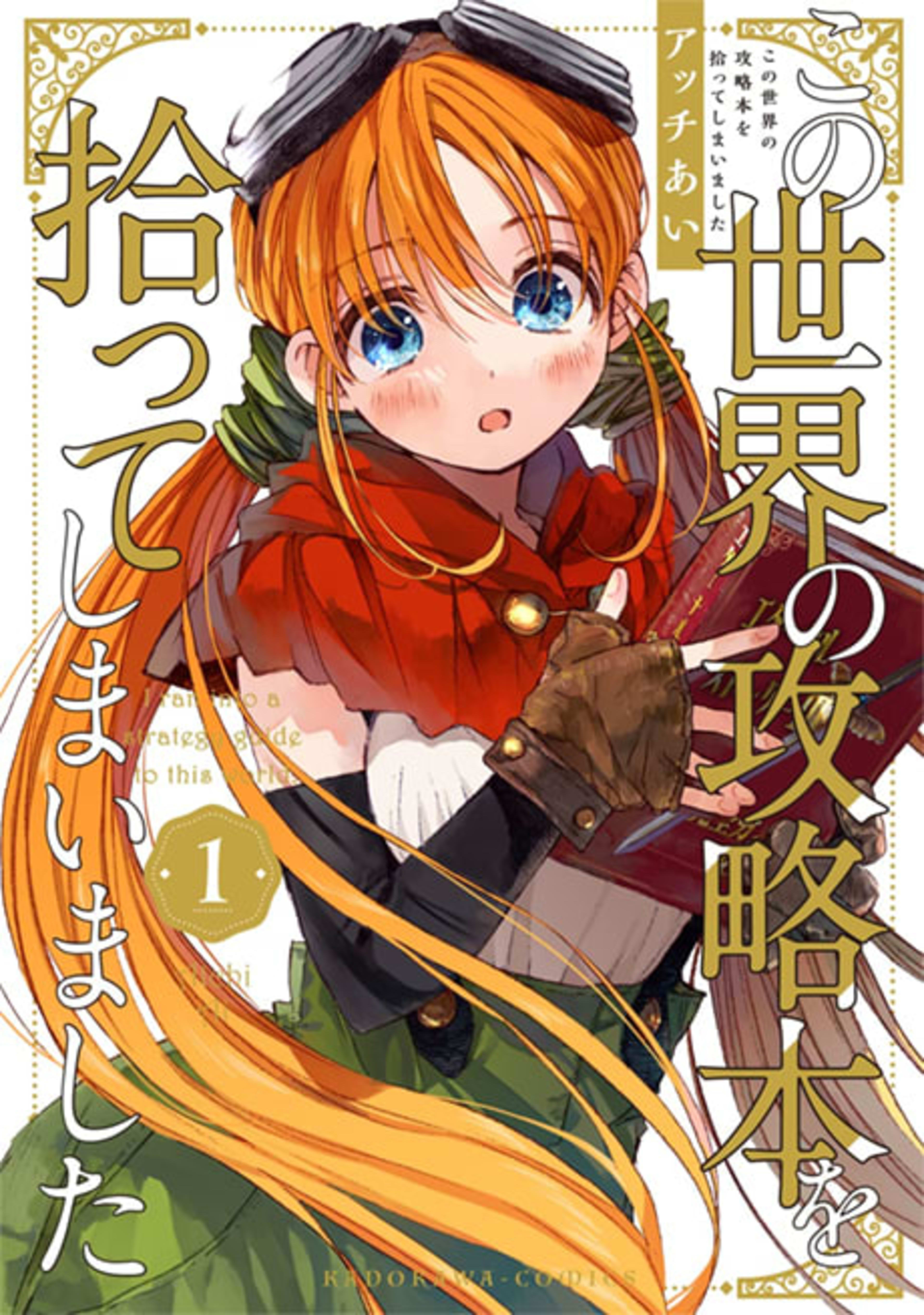I Picked Up This World's Strategy Guide cover — © Yen Press