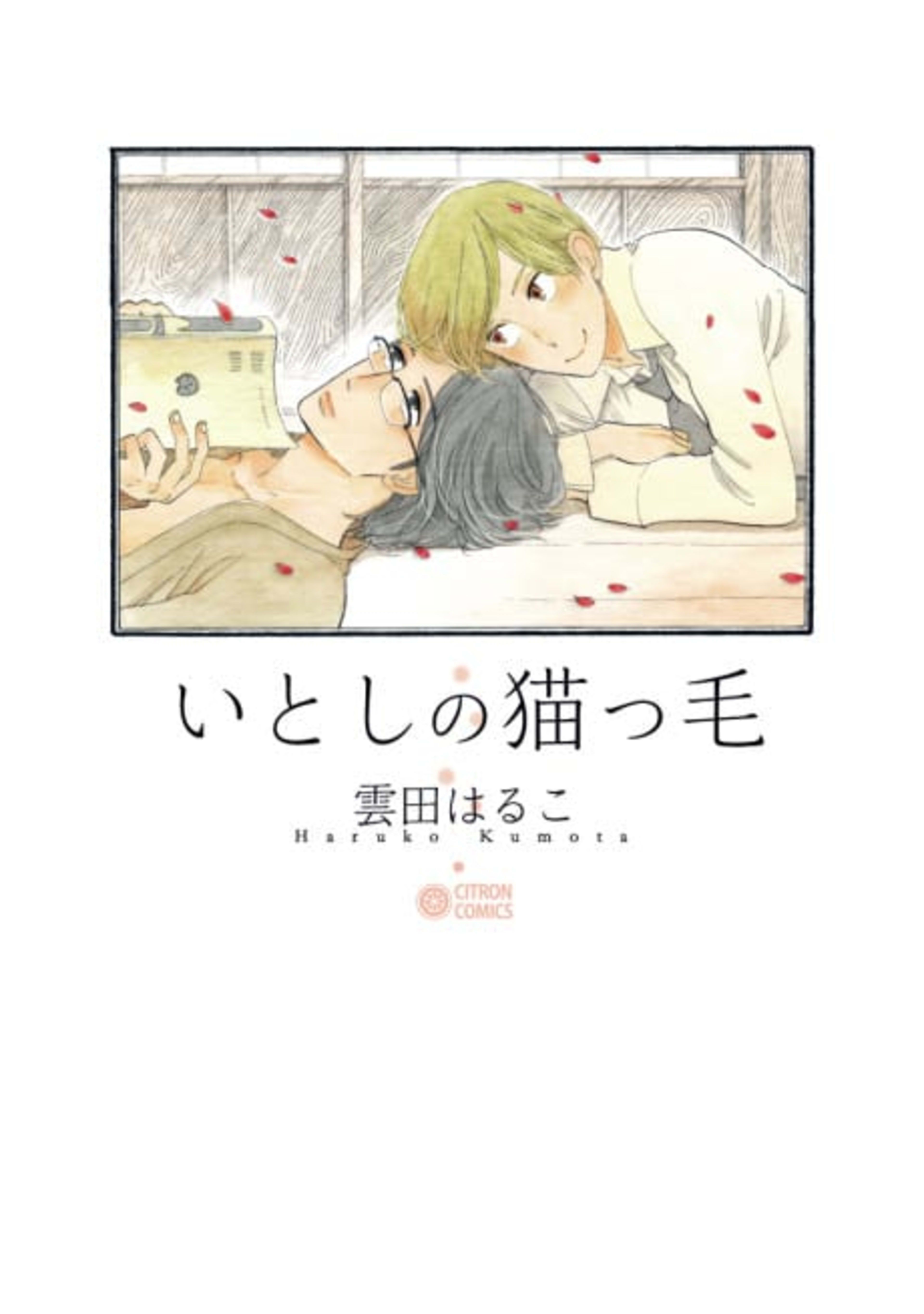 My Darling Kitten Hair cover — © Viz Media