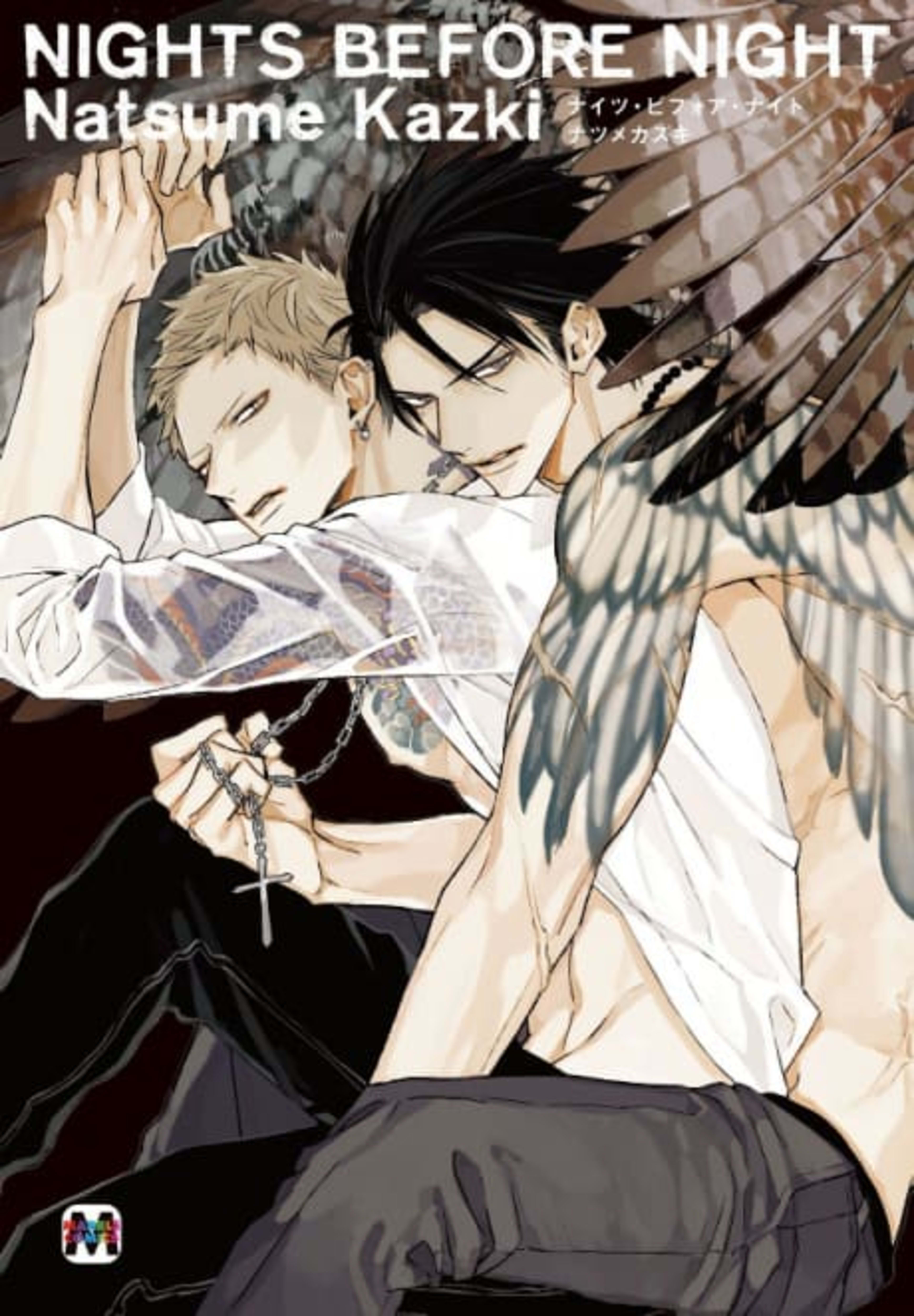 NIGHTS BEFORE NIGHT cover — © Viz Media