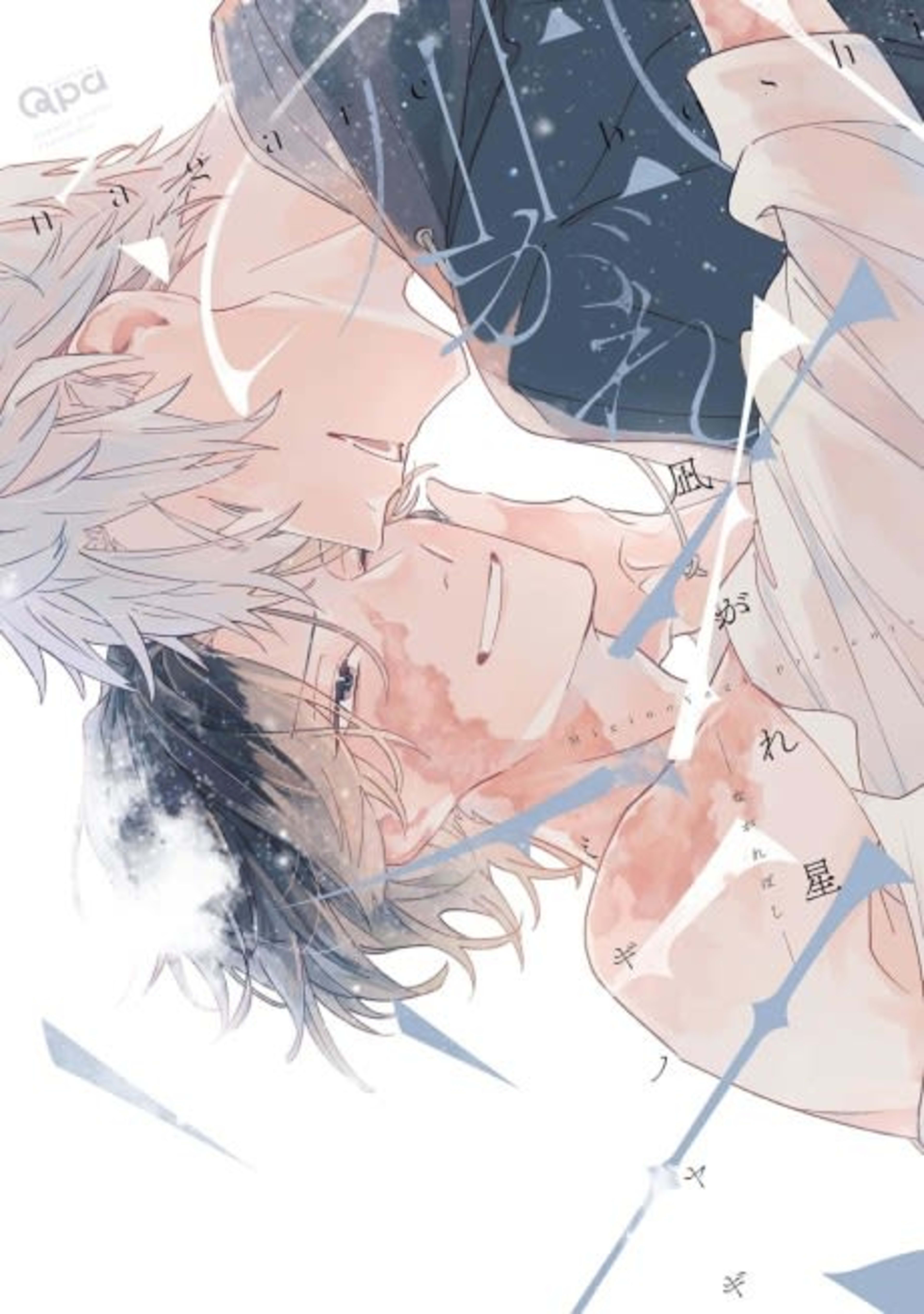 Nagareboshi cover — © Viz Media