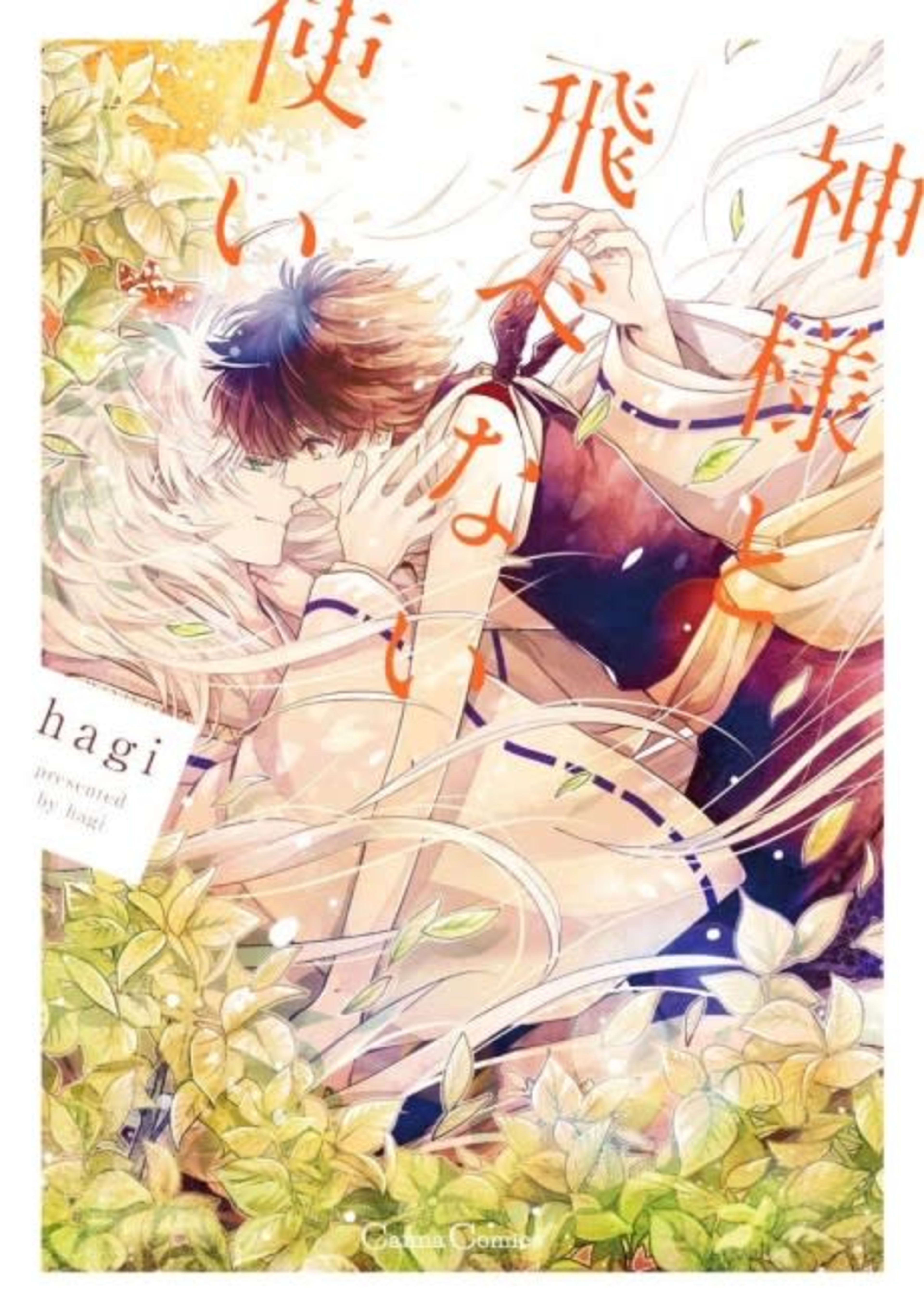 The God and the Flightless Messenger cover — © Tokyopop