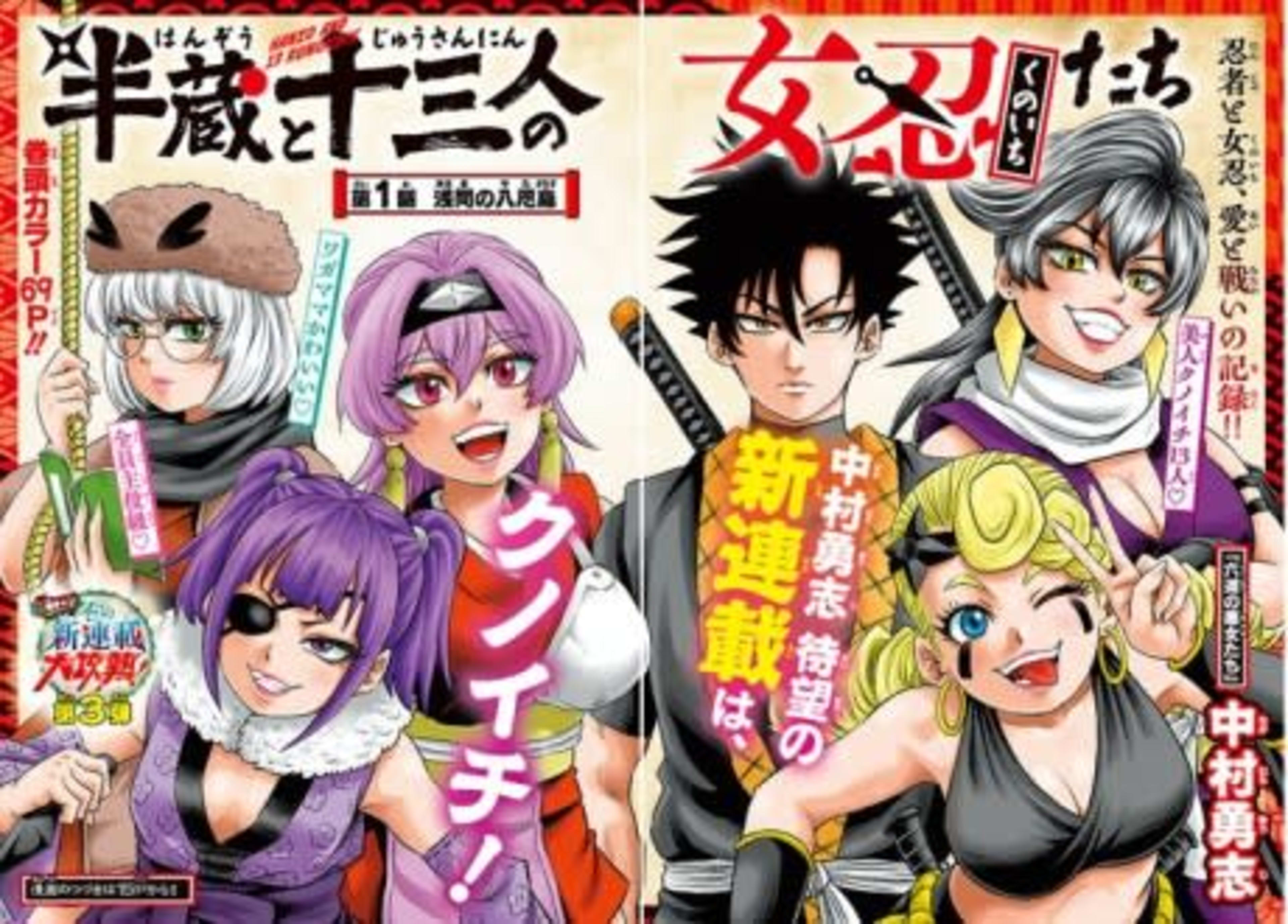 Hanzou to Juusan-nin no Kunoichi-tachi cover — © Viz Media