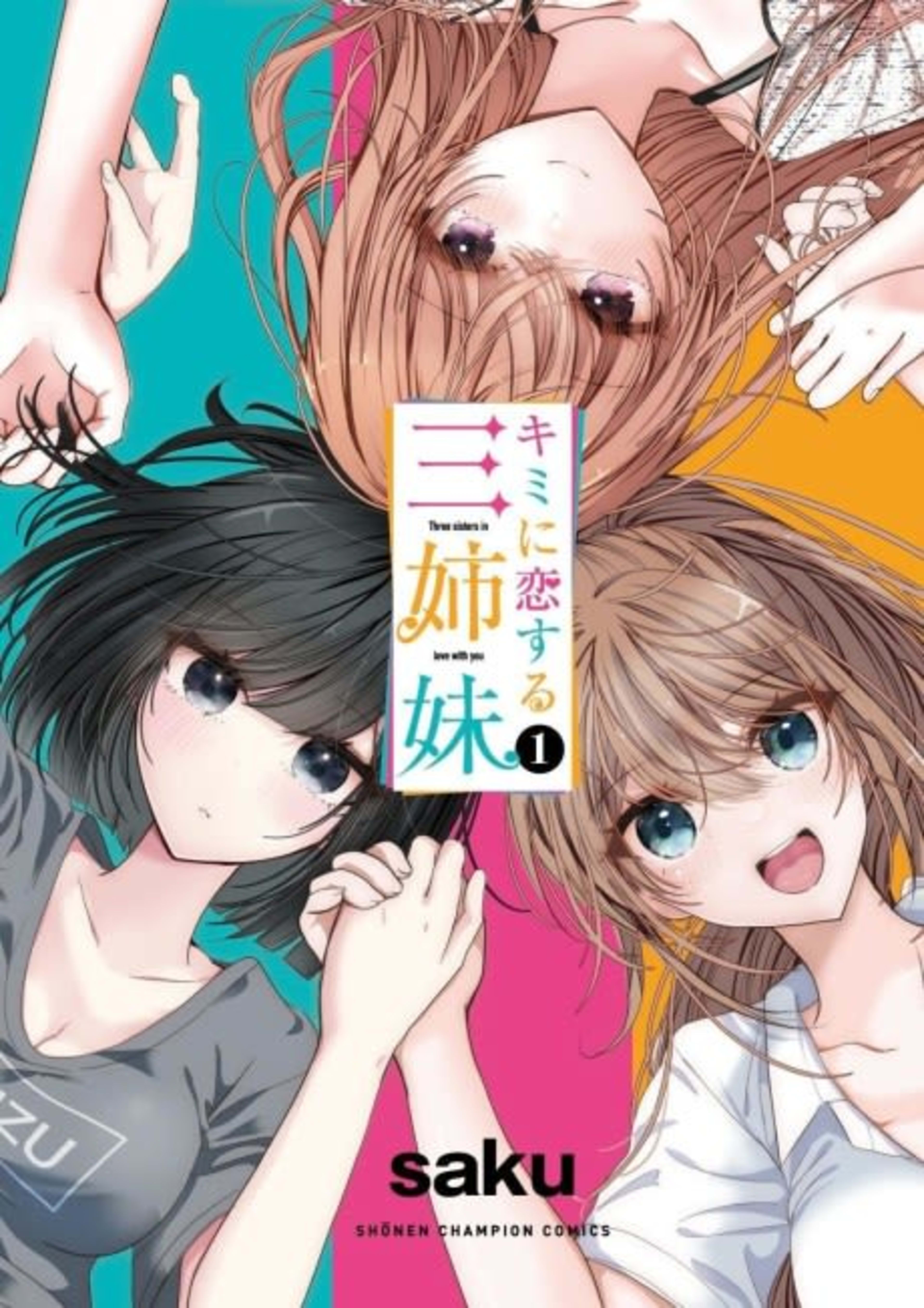 Kimi ni Koisuru Sanshimai cover — © Viz Media