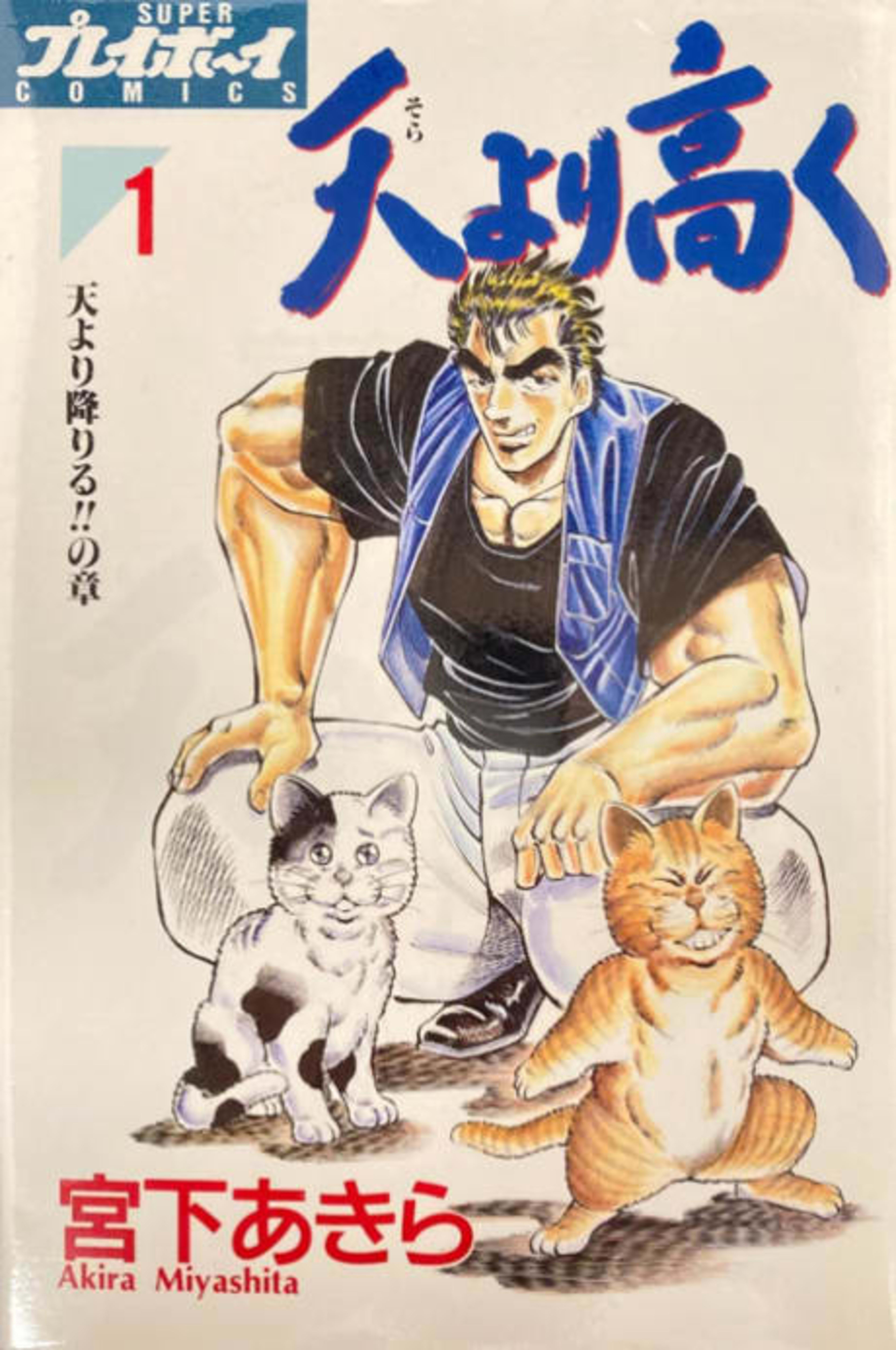 Sora yori Takaku cover — © Viz Media