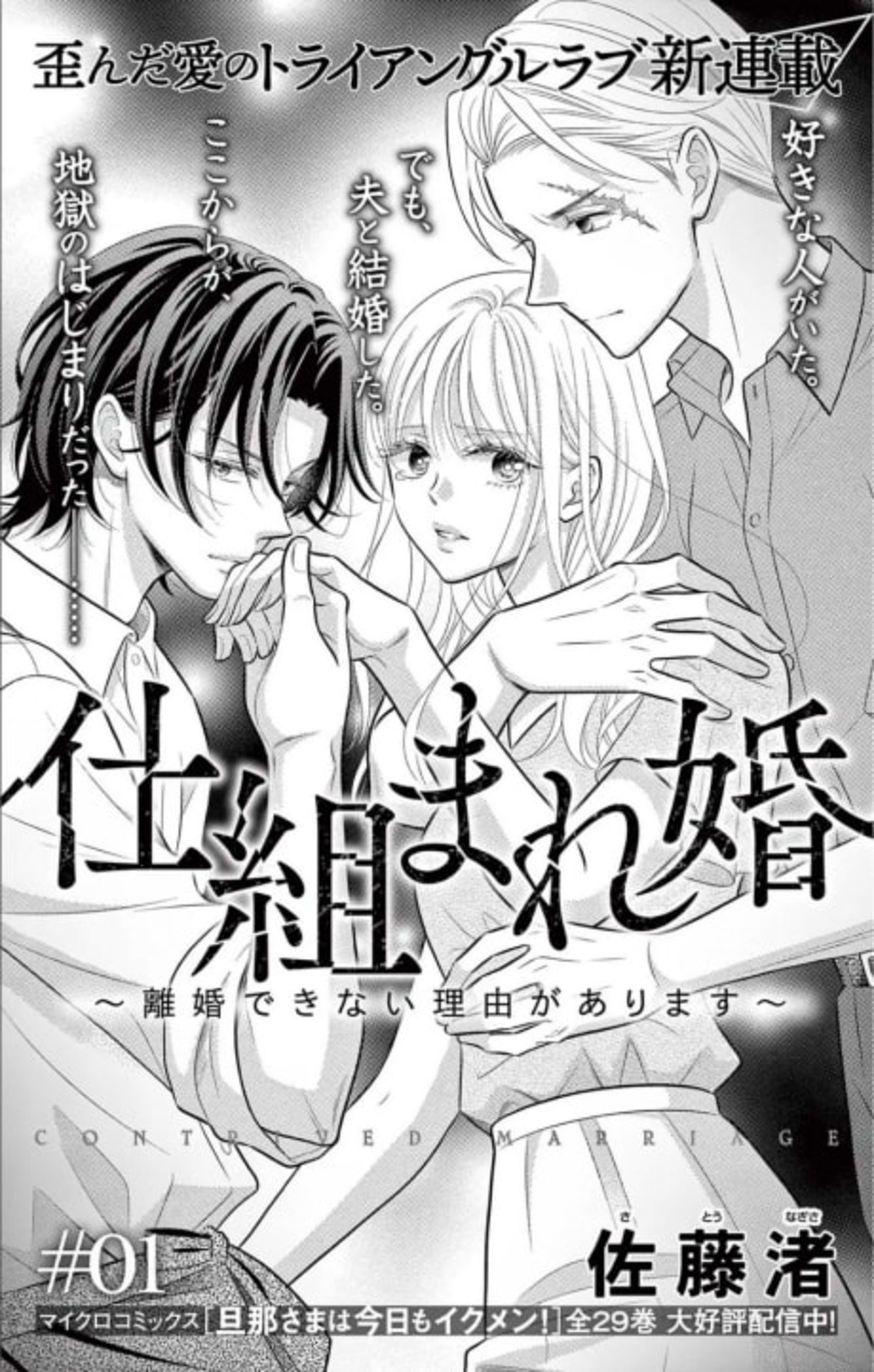 Shikuma Rekon: Rikon Dekinai Riyuu ga Arimasu cover — © Viz Media