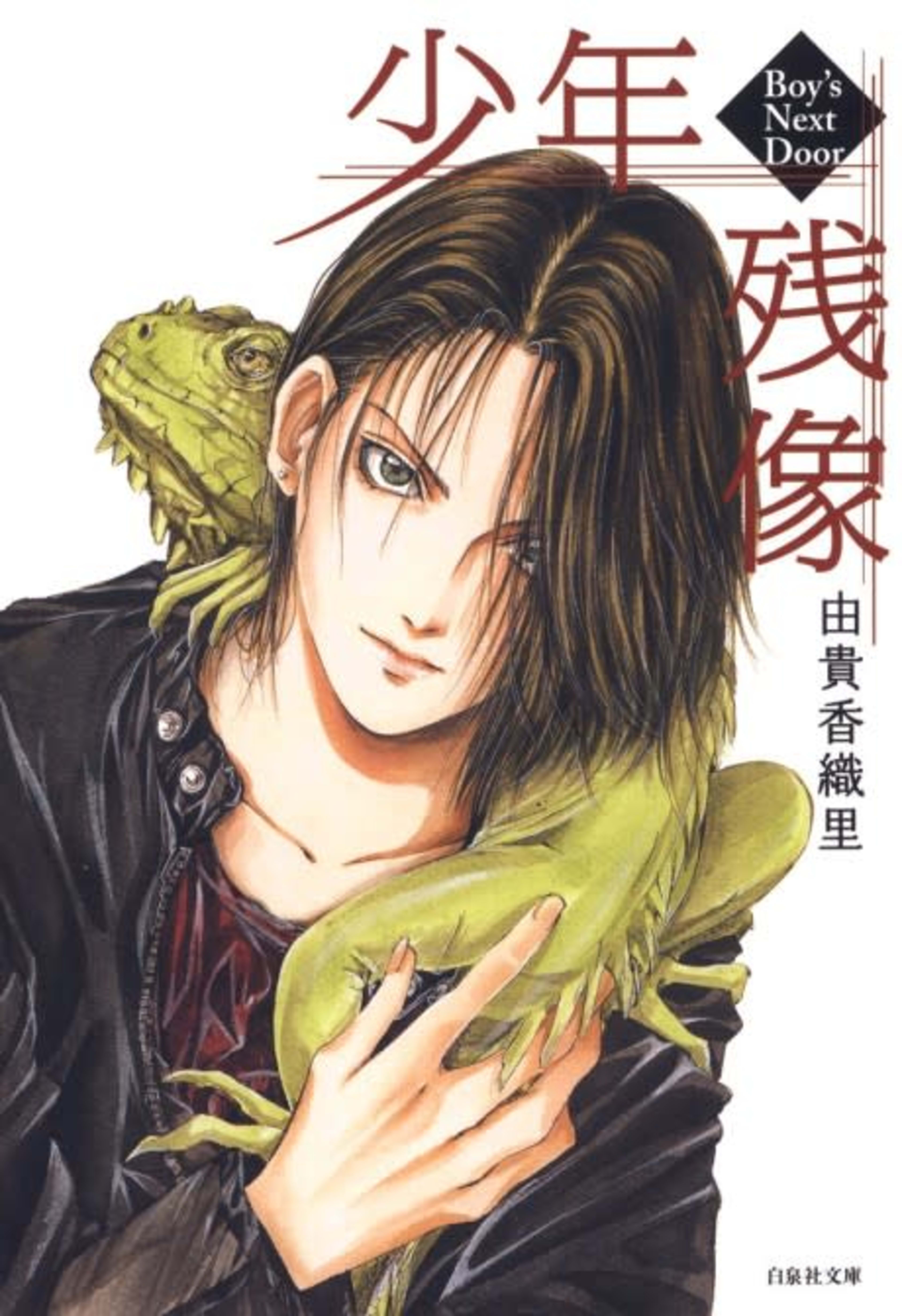 Shounen Zanzou: Boy's Next Door cover — © Viz Media