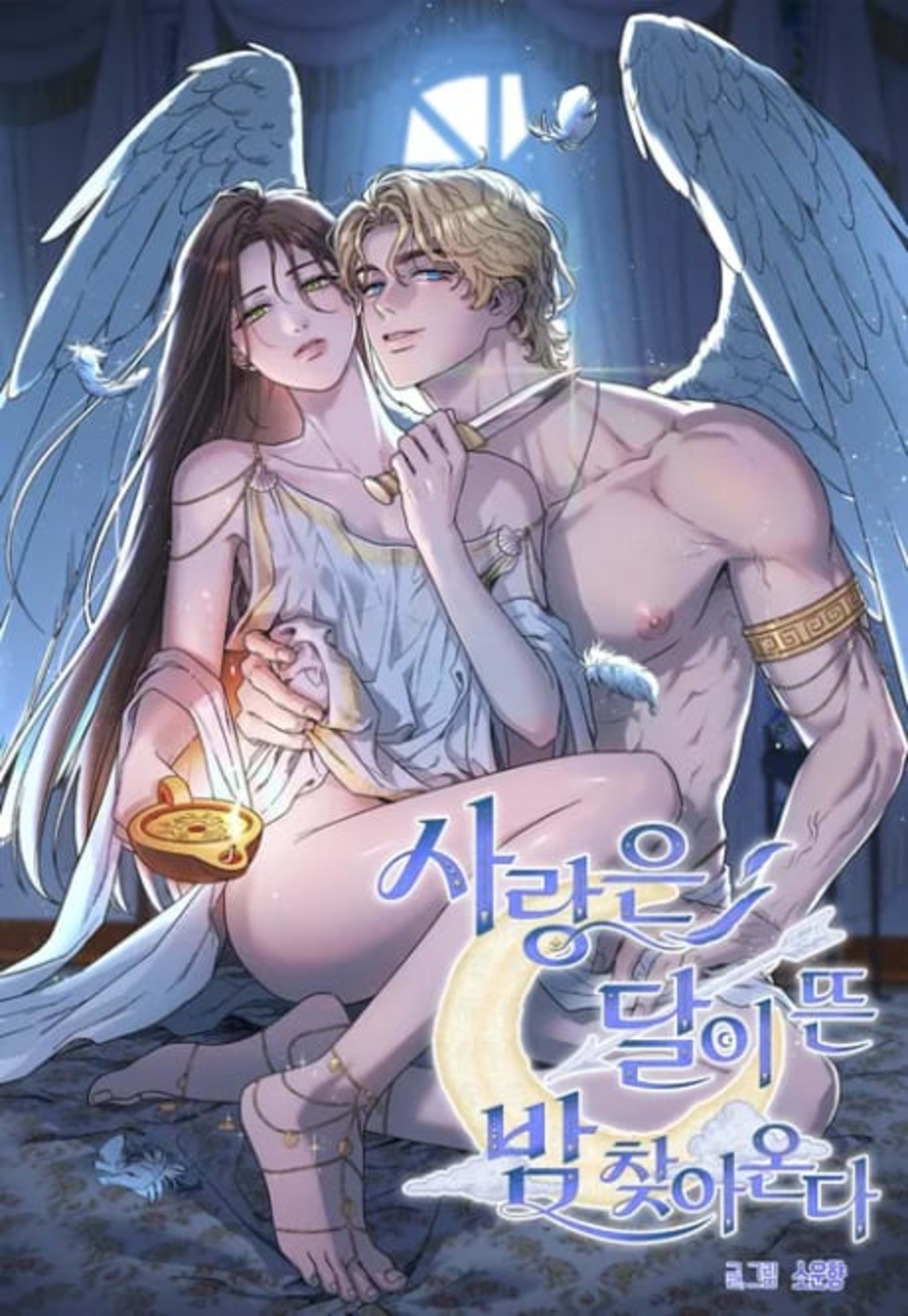Sarangeun Dari Tteun Bam Chajaonda cover — © Yen Press