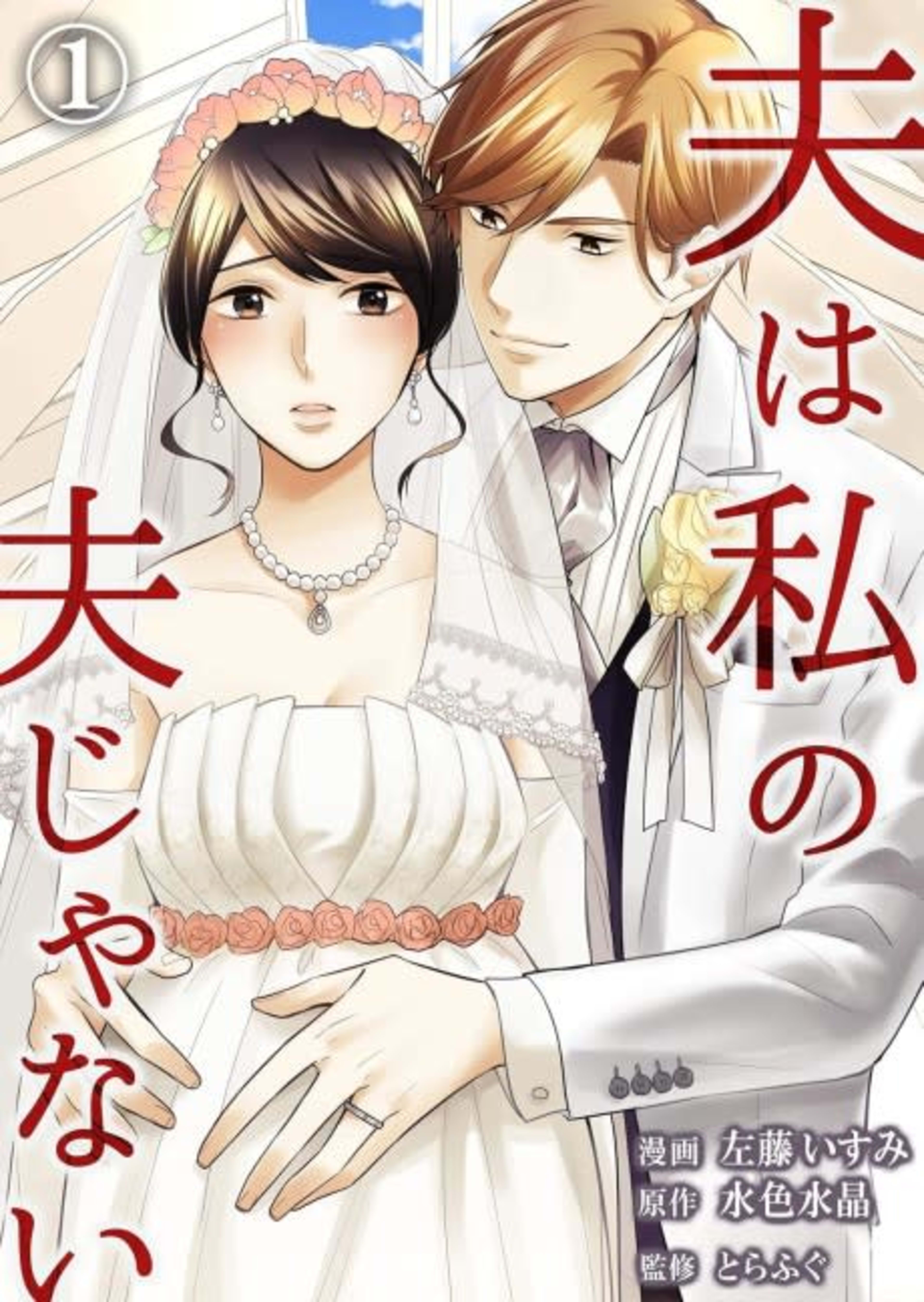 My Husband Is Not My Husband cover — © MangaPlaza