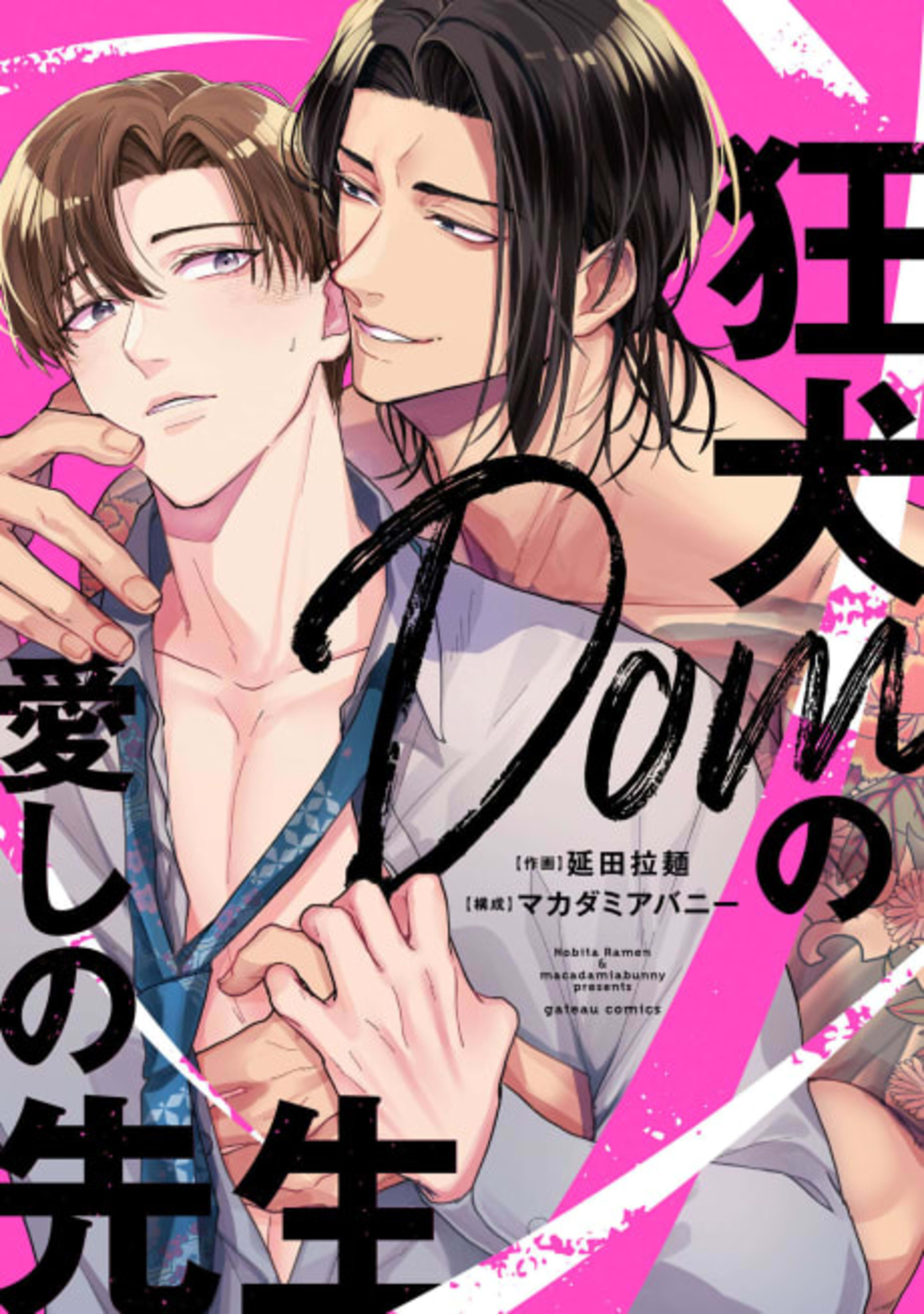 Kyouken Dom no Itoshi no Sensei cover — © Viz Media