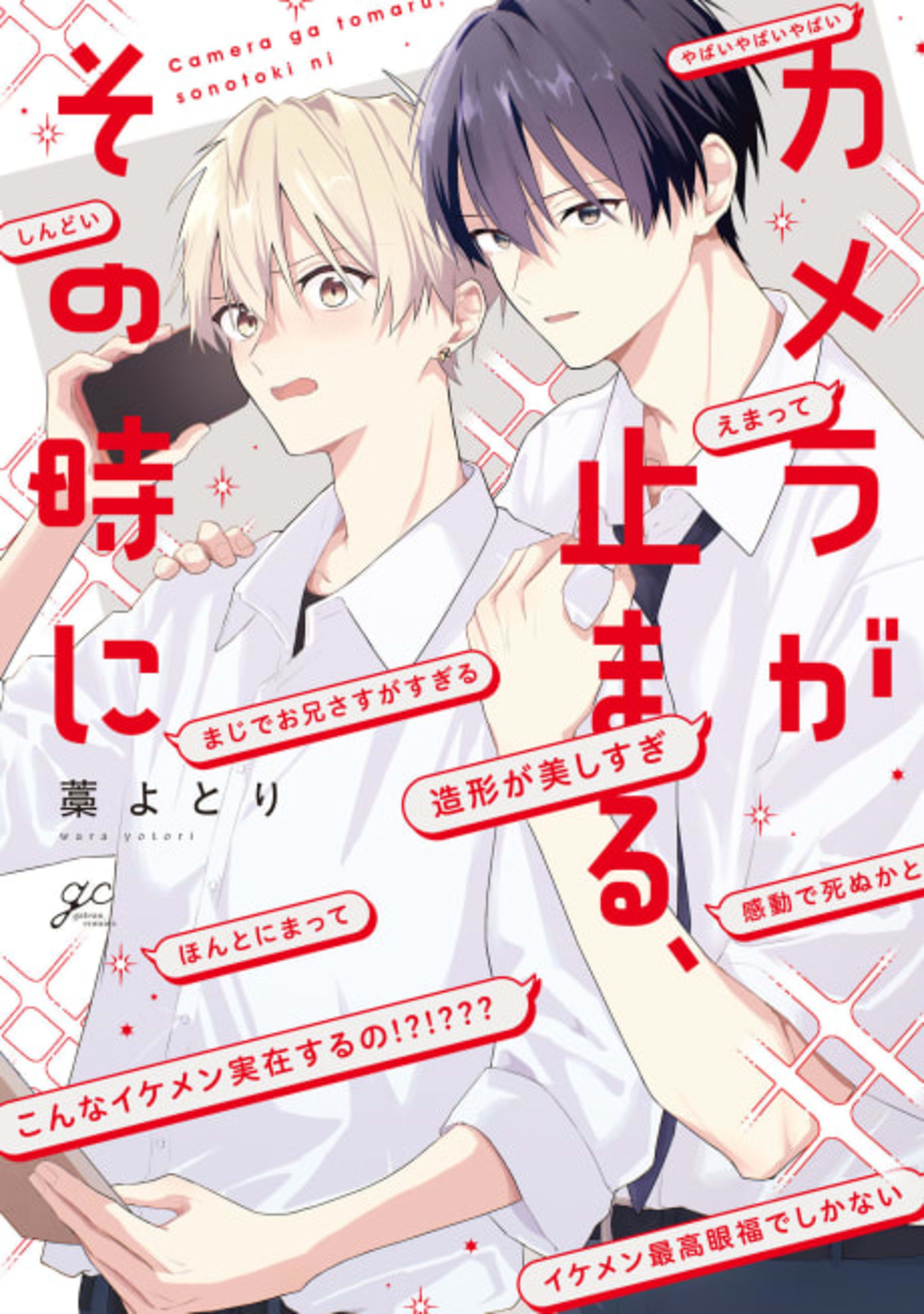 Camera ga Tomaru, Sono Toki ni cover — © Viz Media