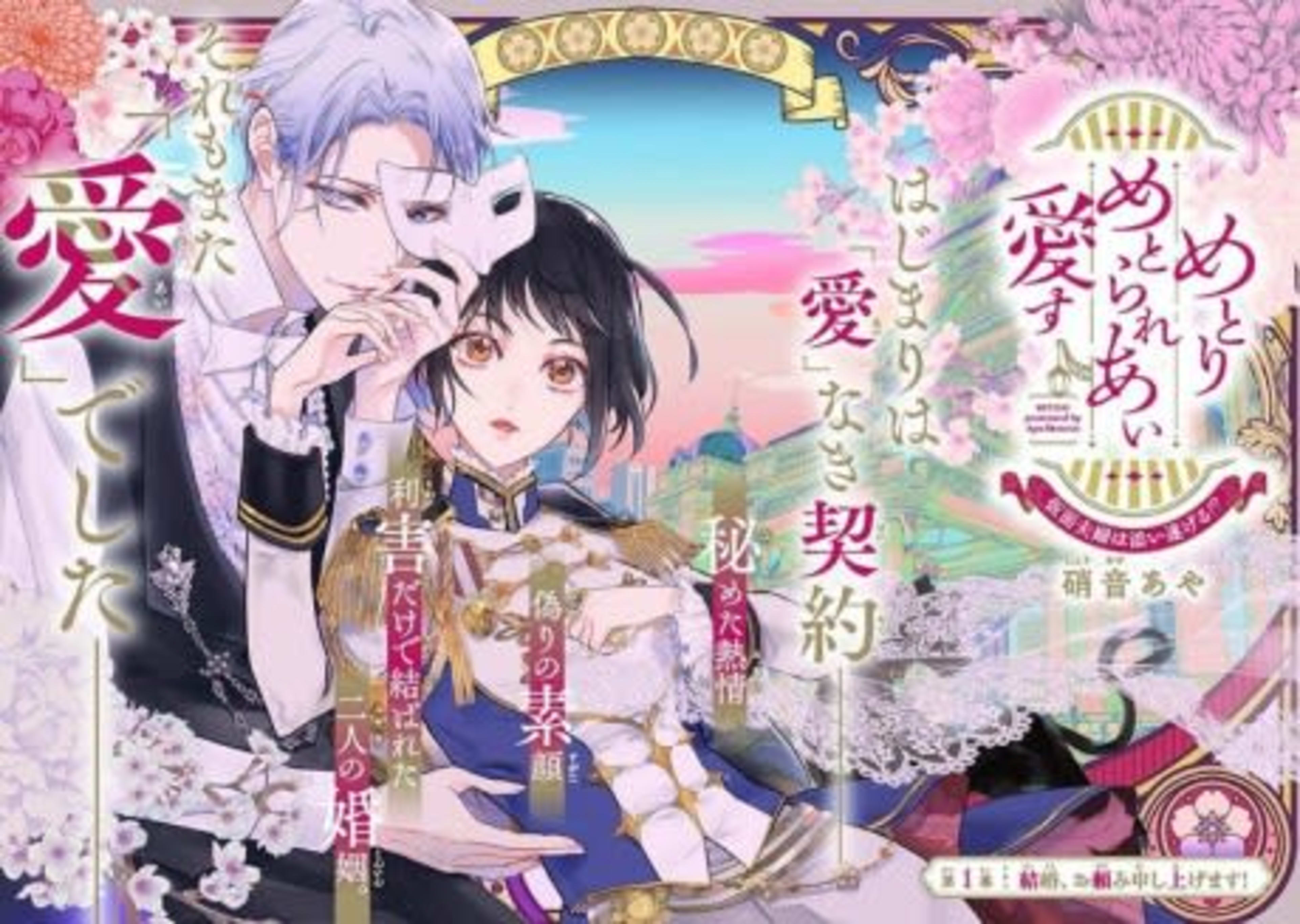 Metori Metorare Ai Aisu: Kamen Fuufu wa Soitogeru!? cover — © Viz Media