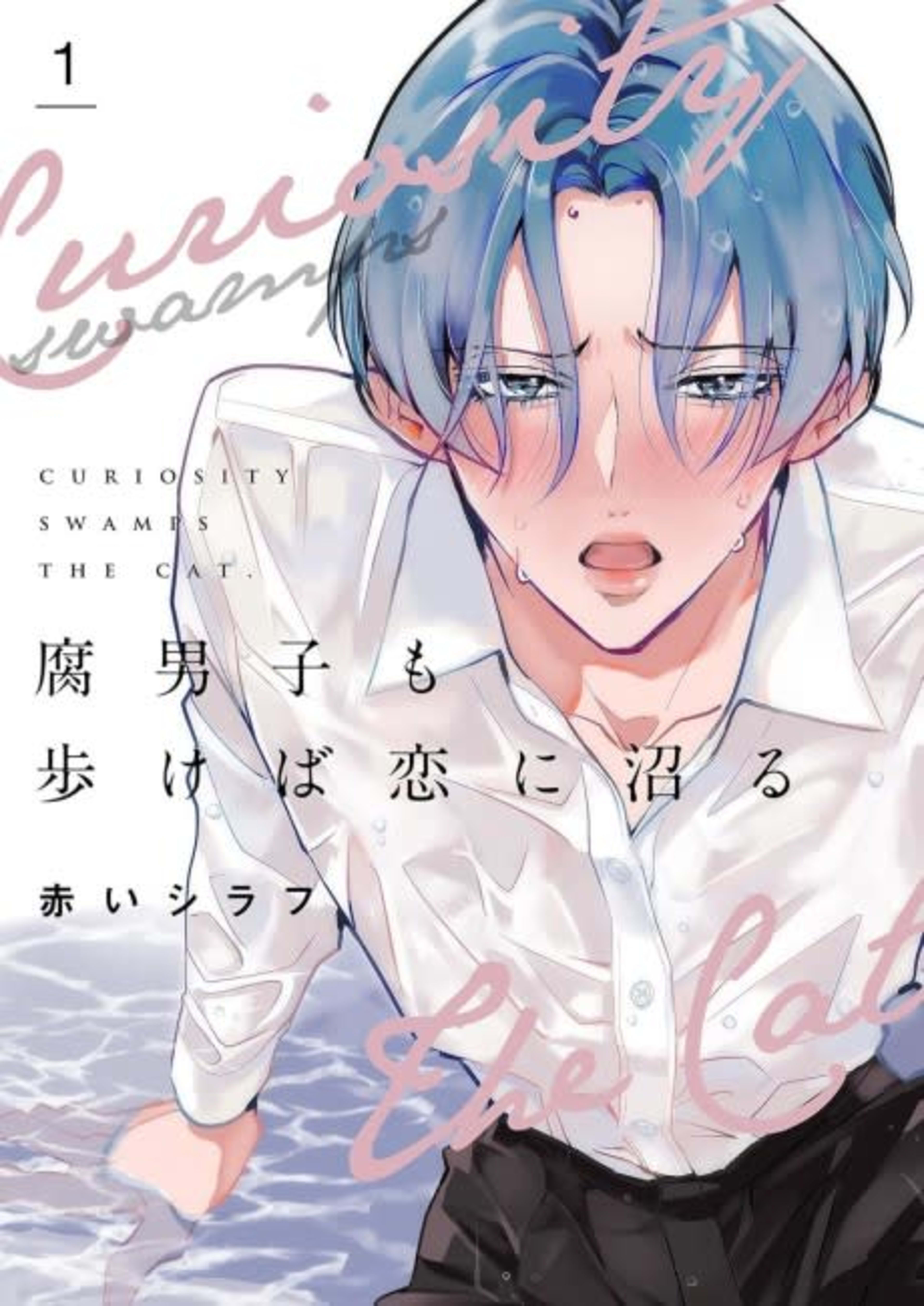 When a BL Fan Falls in Love cover — © MangaPlaza