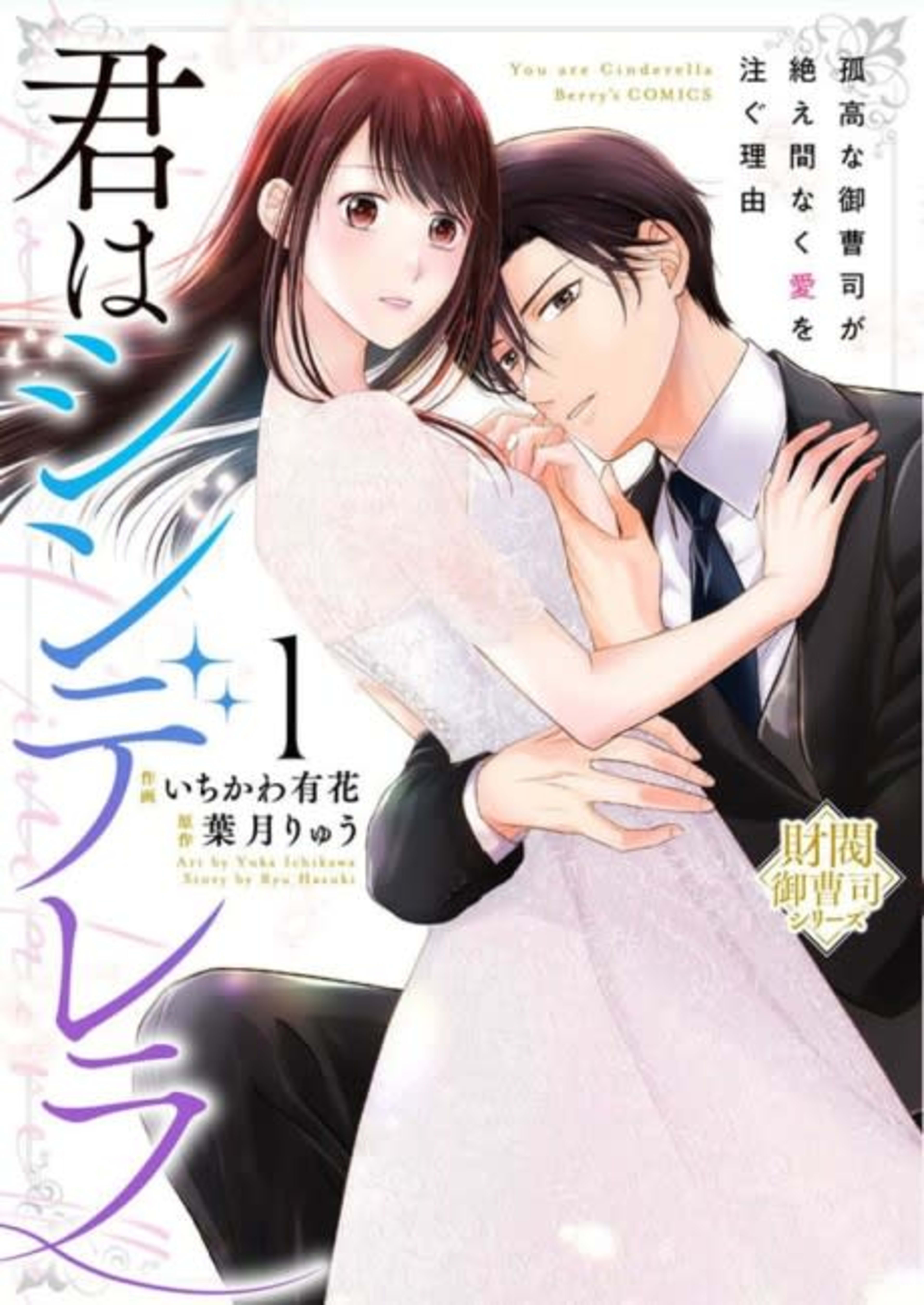 Kimi wa Cinderella: Kokou na Onzoushi ga Taema Naku Ai wo Sosogu Riyuu cover — © Viz Media