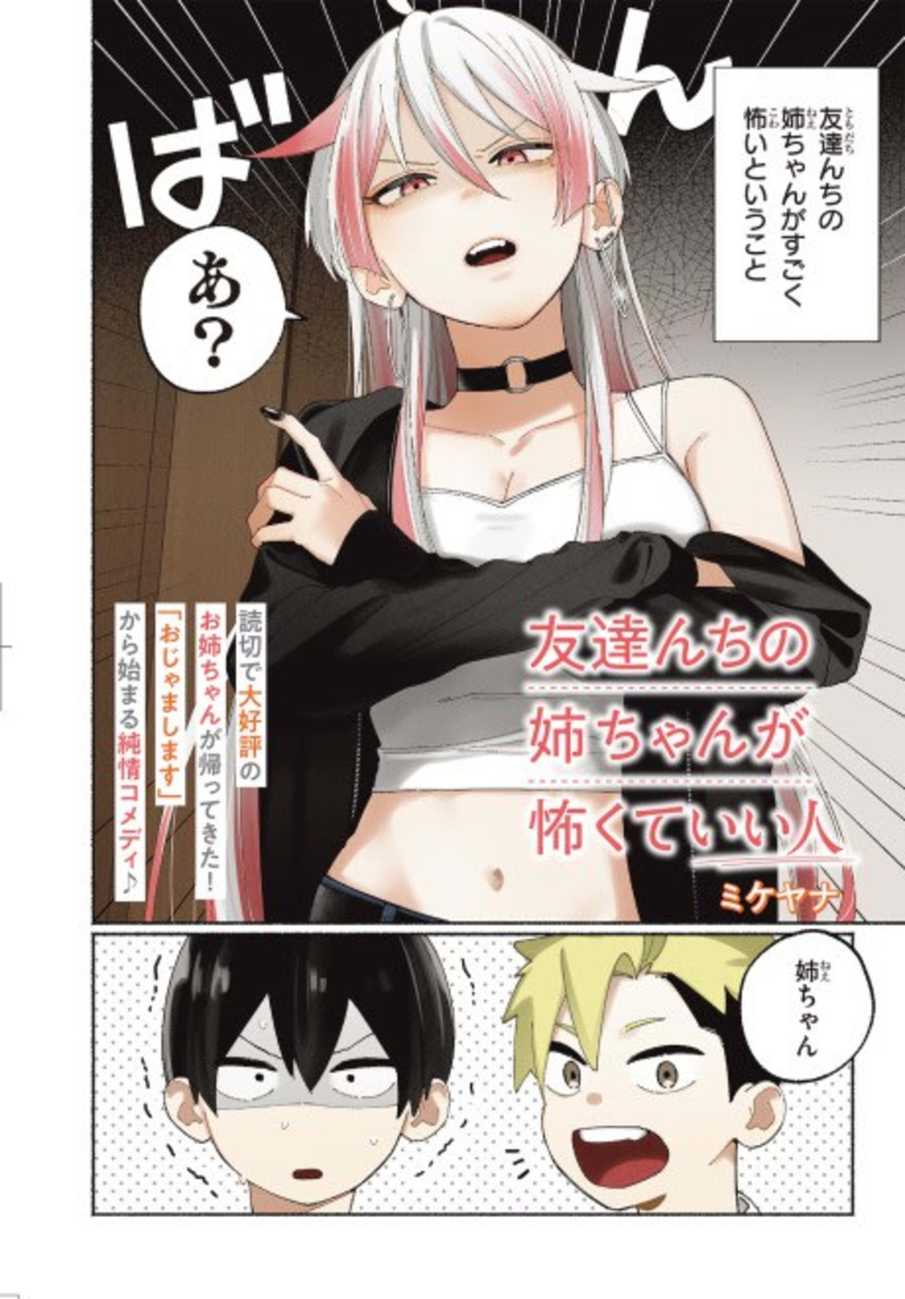 Tomodachi Nchi no Neechan ga Kowakute Ii Hito cover — © Viz Media