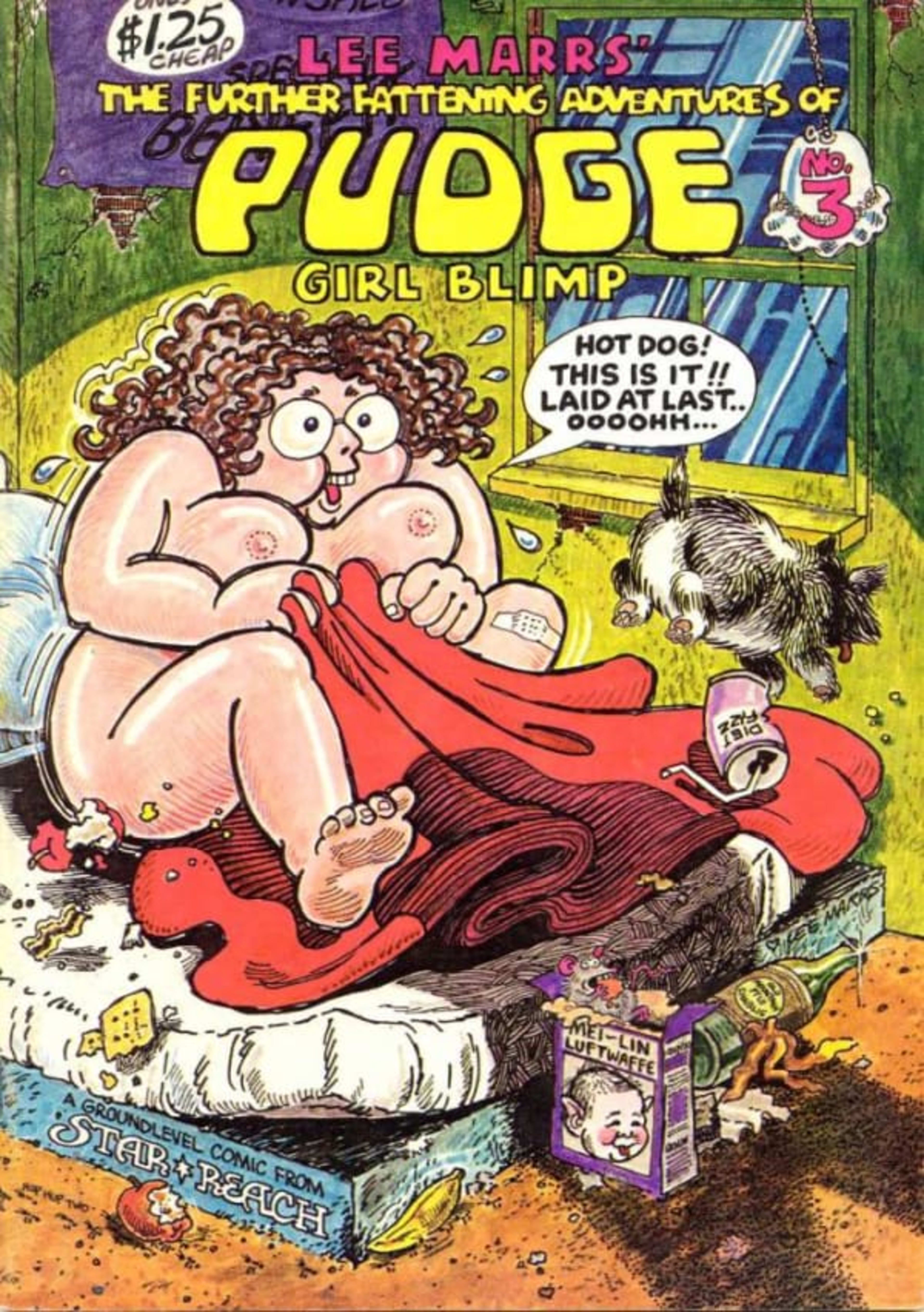 The Further Fattening Adventures of Pudge, Girl Blimp 3